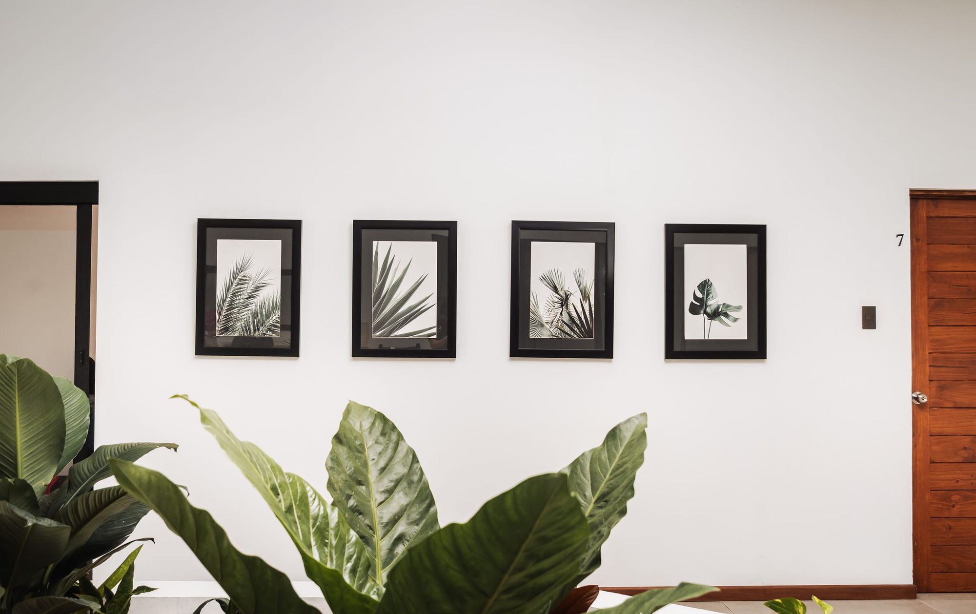 Four framed botanical prints above large potted leaves on a white wall.
