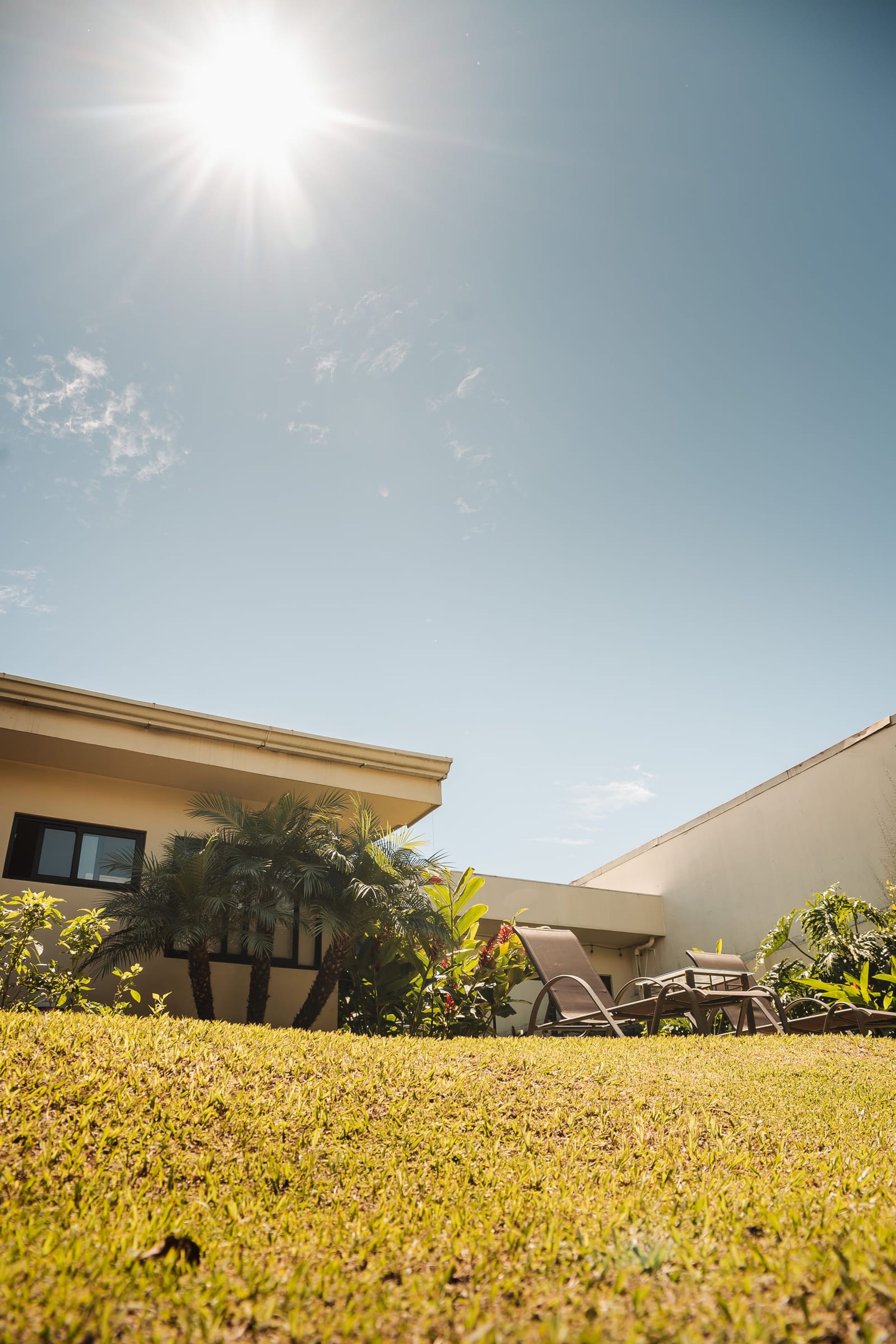 Sun over the lawn and garden at the San José residence, seen from ground level.