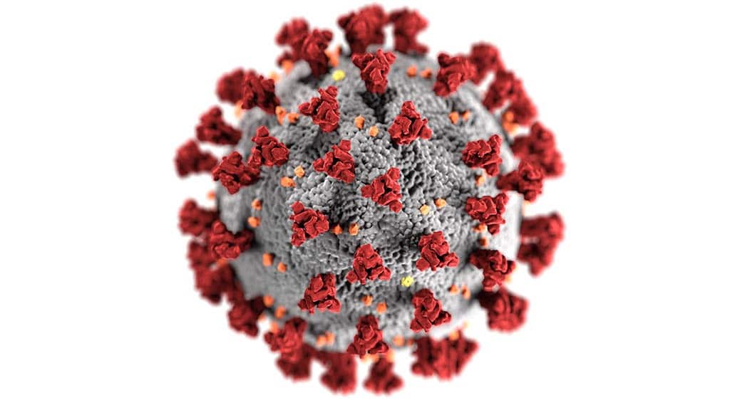 Responding to the COVID-19 Pandemic