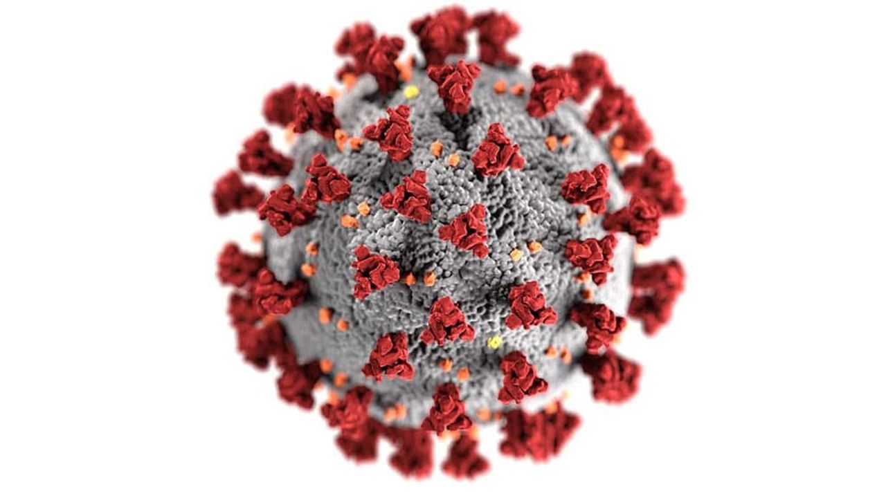 Responding to the COVID-19 Pandemic