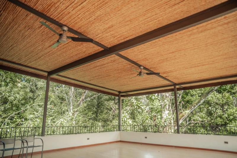 La sala de yoga al aire libre en Atenas: un amplio piso de madera bajo un techo de bambú, abierta por todos lados al bosque.