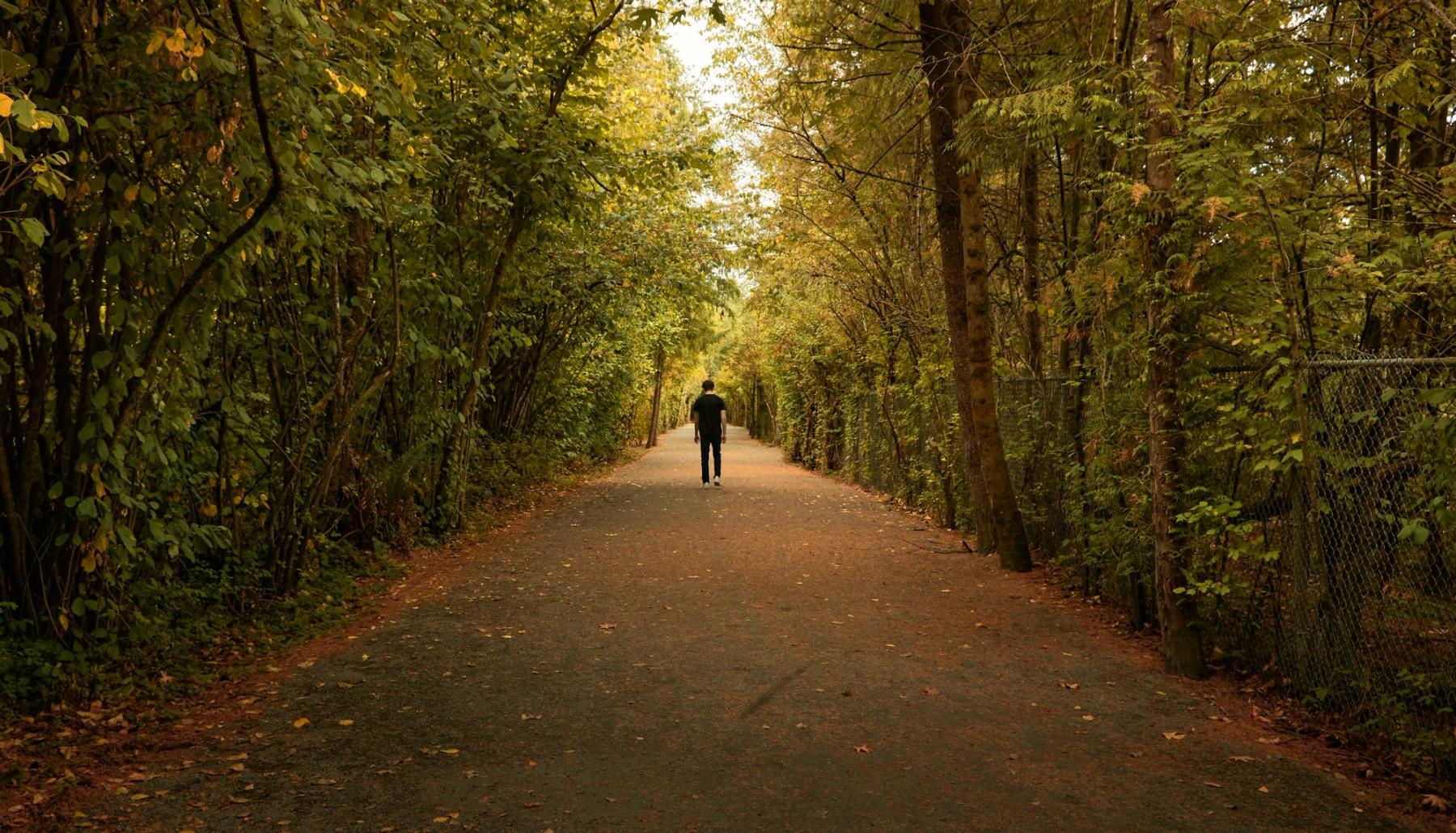 person in black jacket walking on pathway between trees during daytime