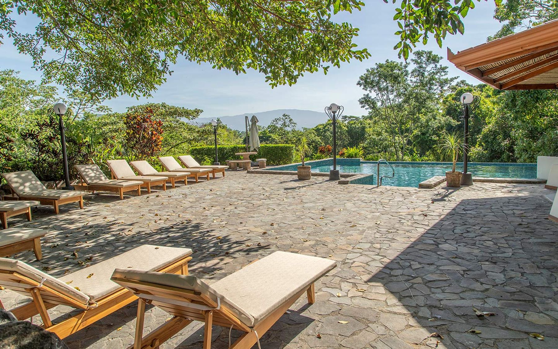 Stone-edge pool surrounded by tropical planting.