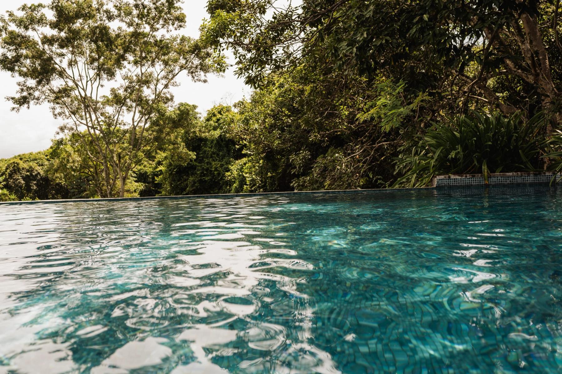 Agua azul clara en el borde de la piscina, con el bosque justo detrás.