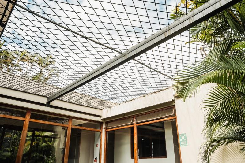 The atrium at the San José residence, with palms under an open steel lattice and wood-framed windows.