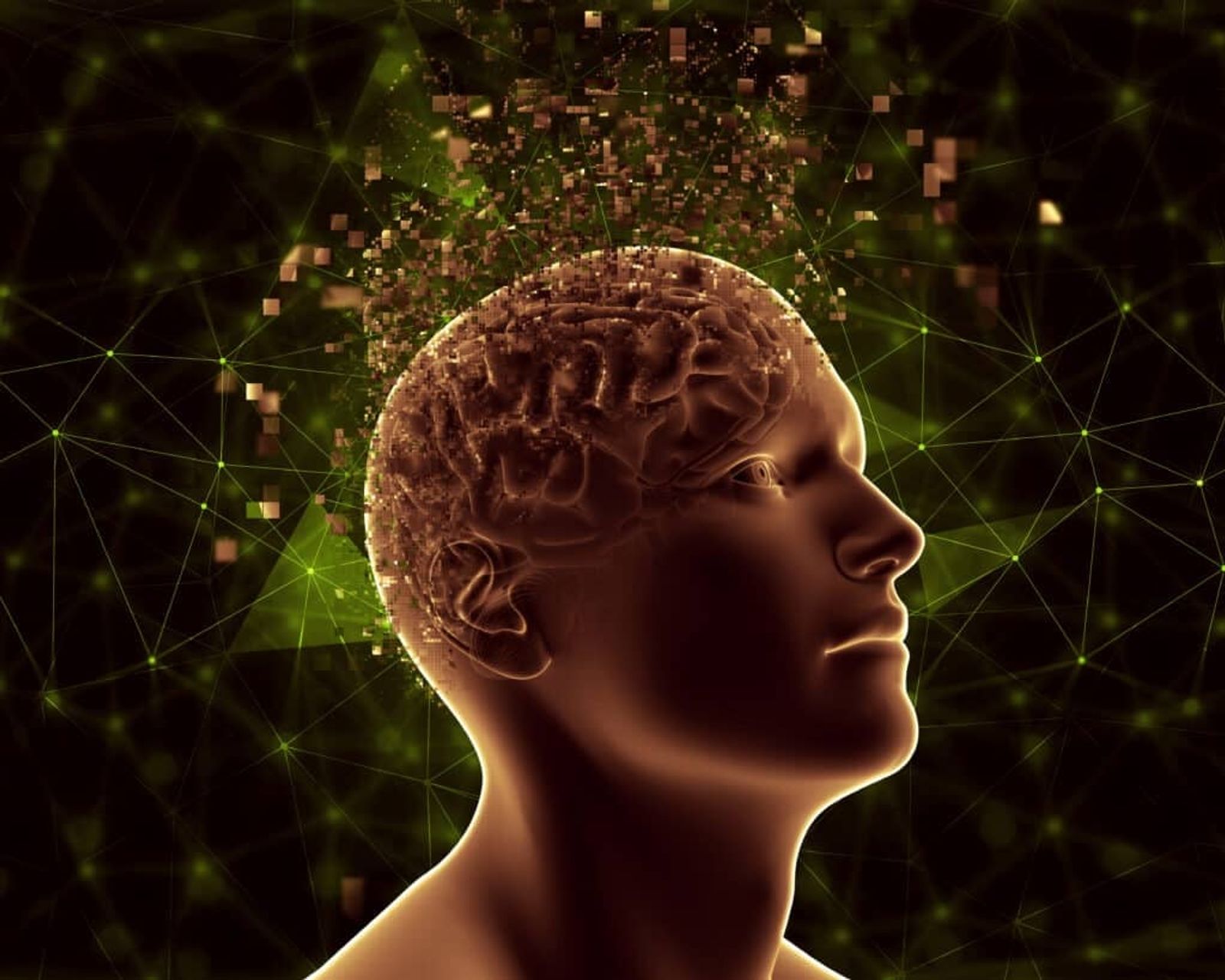 dopamine-in-system-2