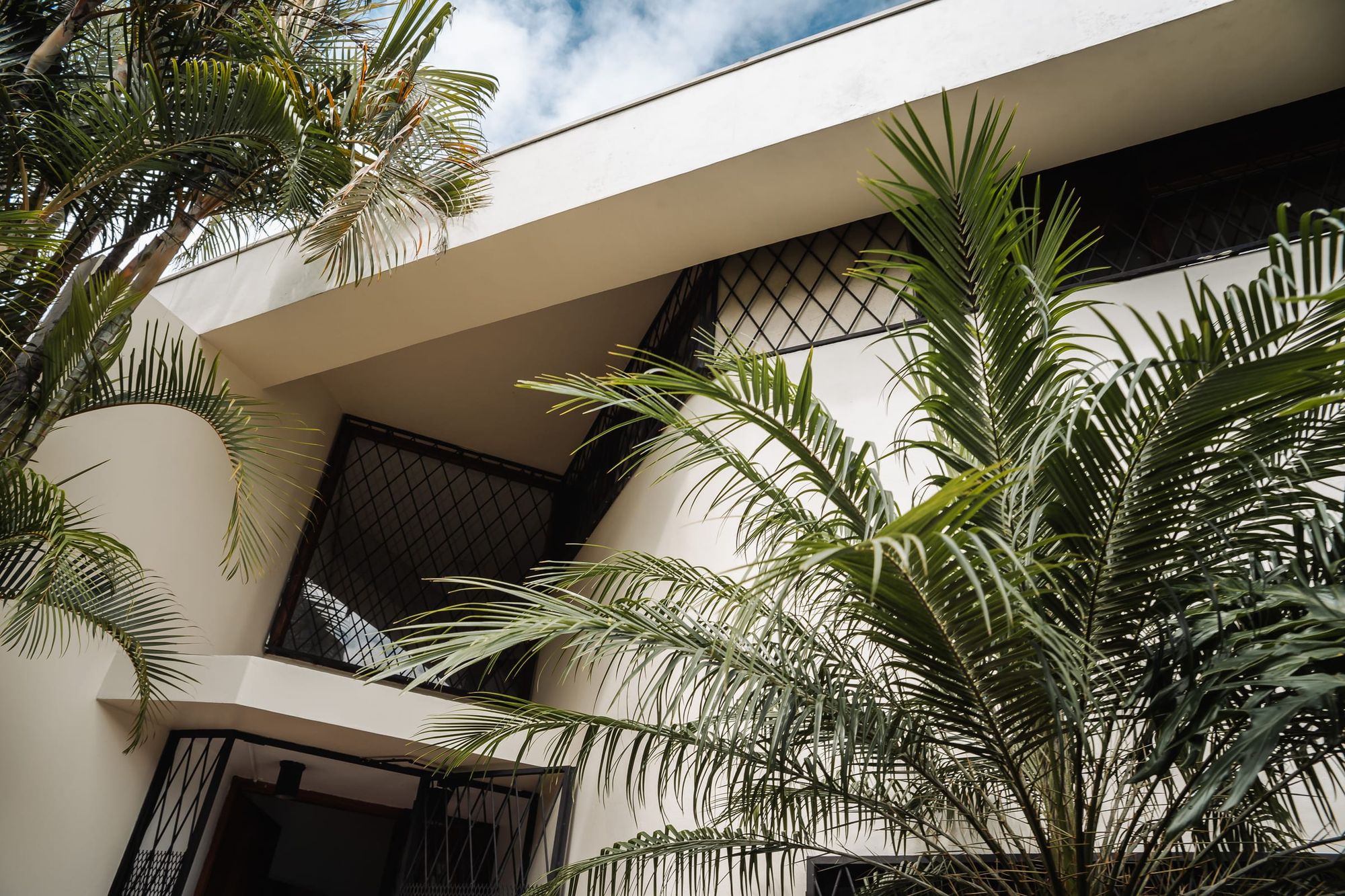 Palms in front of the white curved facade of the San José residence.