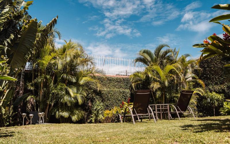 Tumbonas sobre el césped en San José, con palmeras y un muro verde detrás bajo un cielo azul.