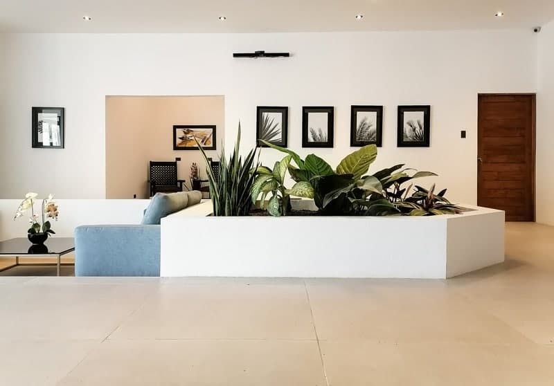 Quiet residential interior at the San José residence. White walls, framed art and a planted atrium opening to a sitting nook.