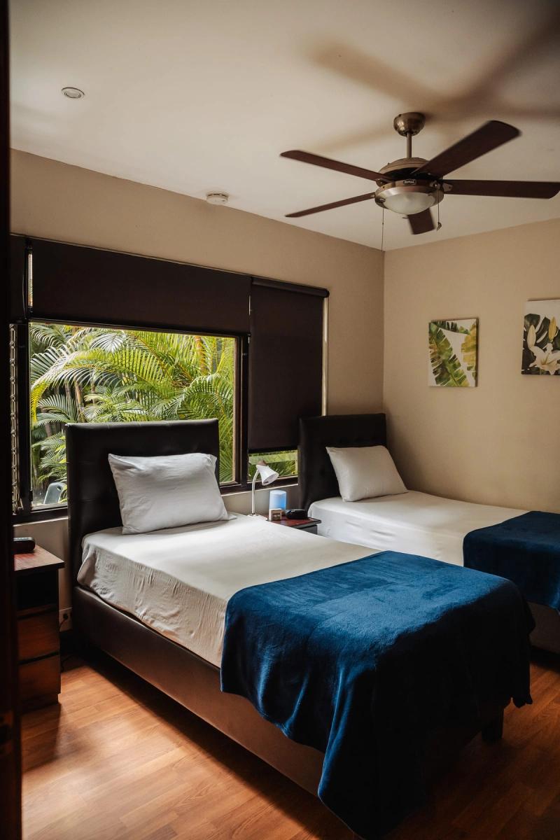 A twin room at San José with two beds, blue throws and a window onto palms.