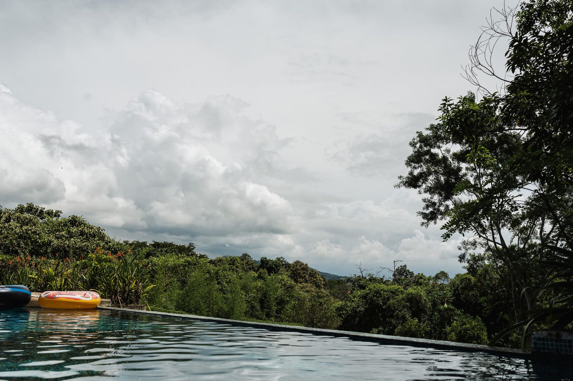 The edge of the infinity pool meeting the treetops and a cloudy sky.