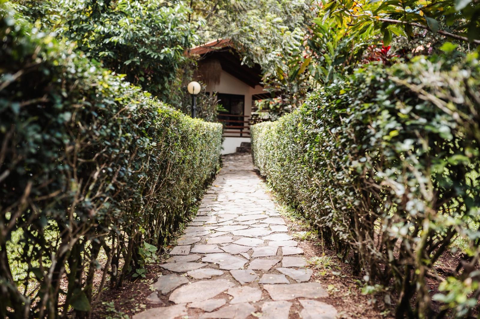 A flagstone path between tall hedges leading to a small house in the Atenas gardens.