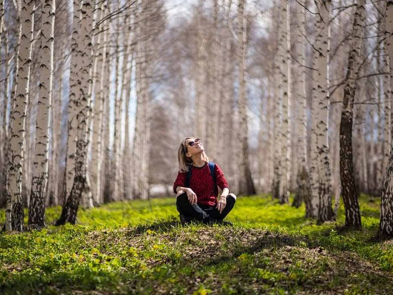 forestTherapy