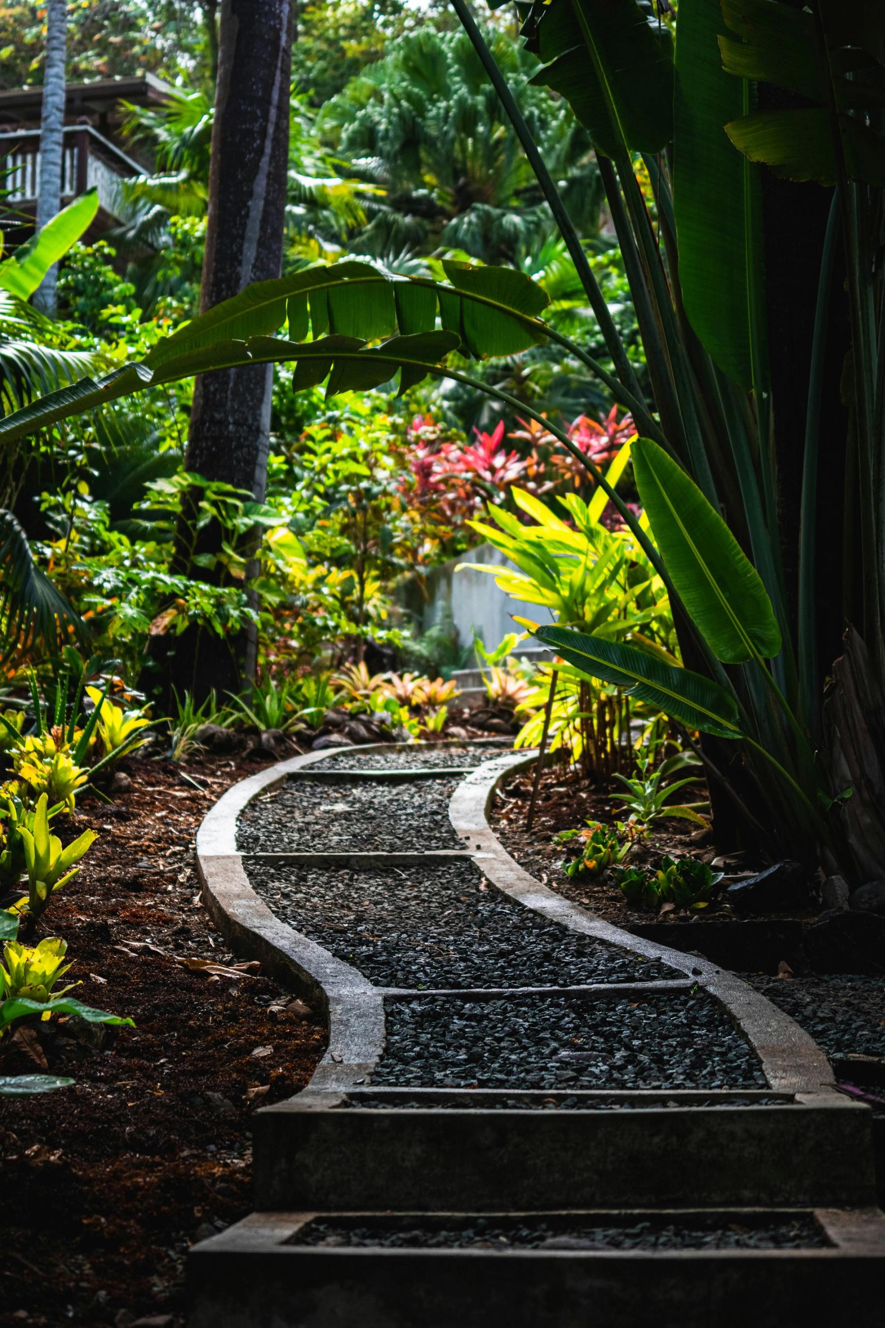 Safe, peaceful nature path surrounded by lush Costa Rican greenery