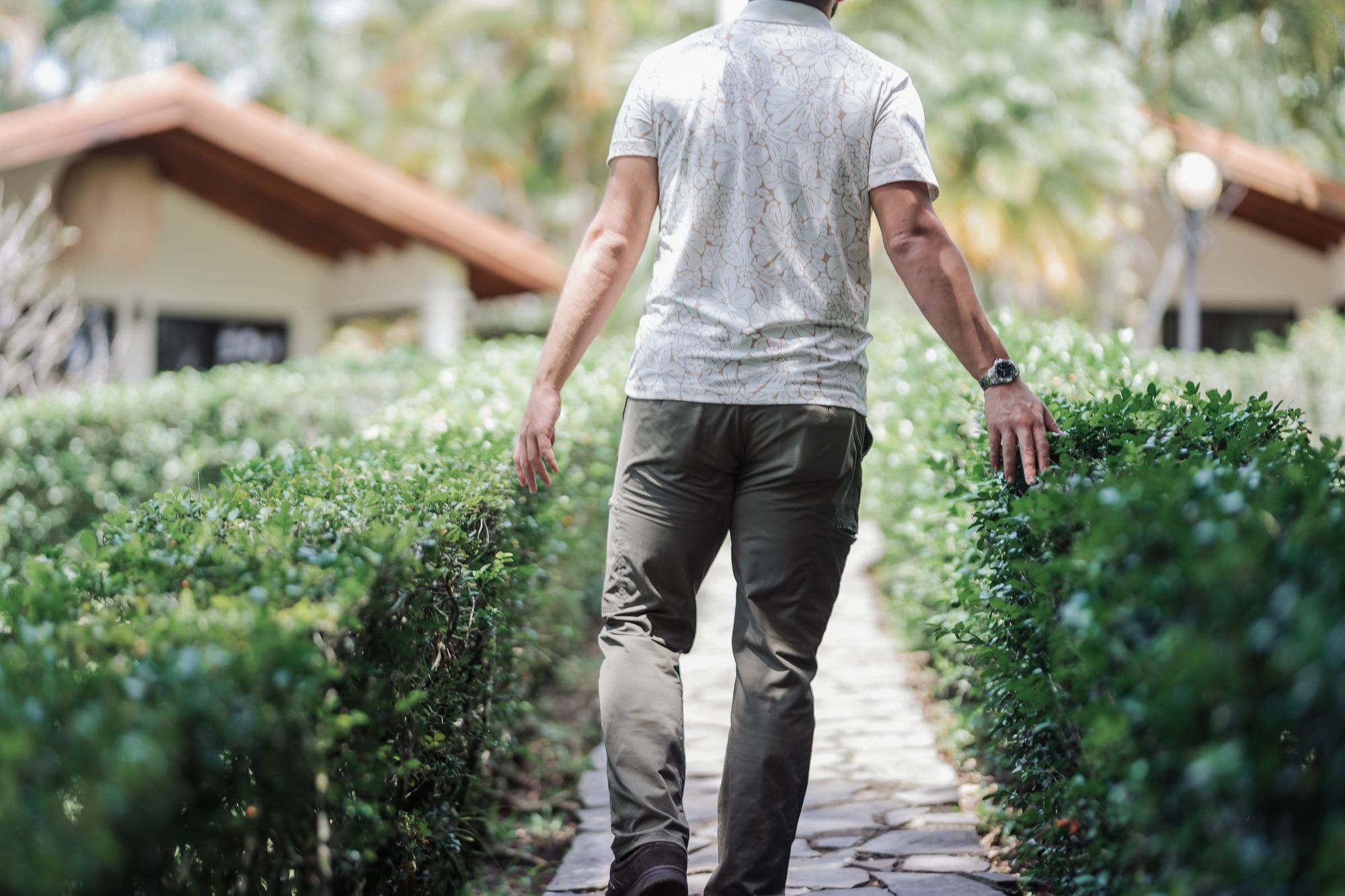 A man walking a garden path between low hedges, trailing a hand through the leaves.