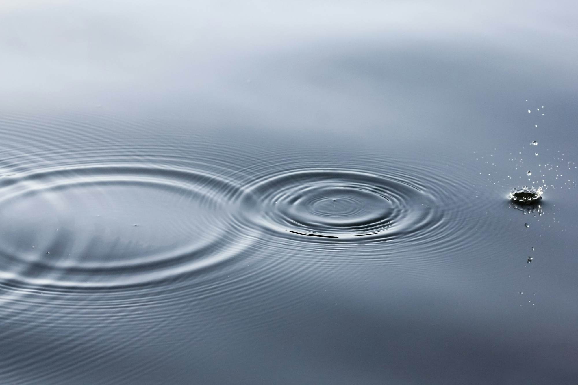 Concentric ripples spreading across the still surface of calm water.
