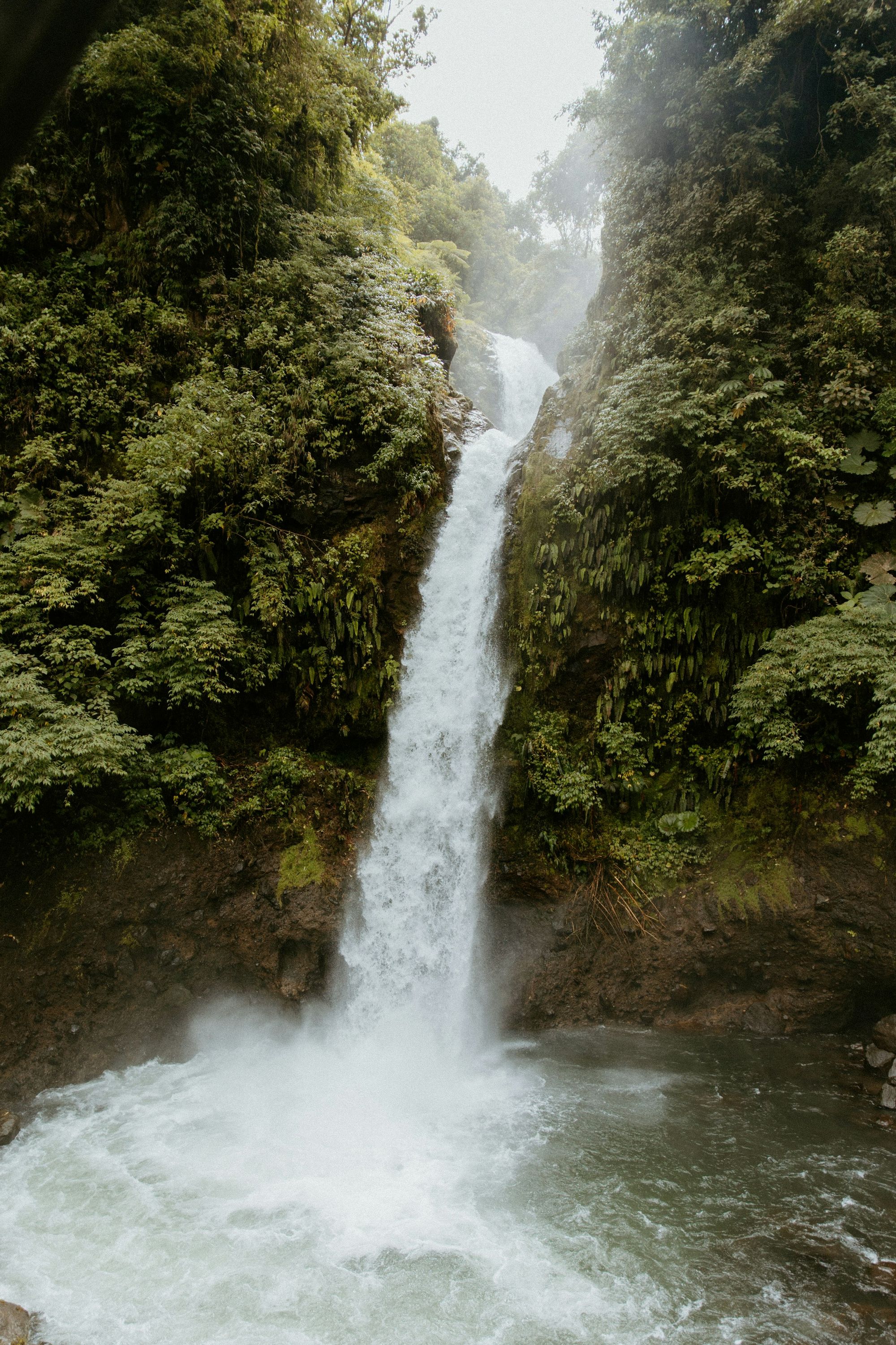 A tall waterfall cascading into a pool surrounded by lush rainforest