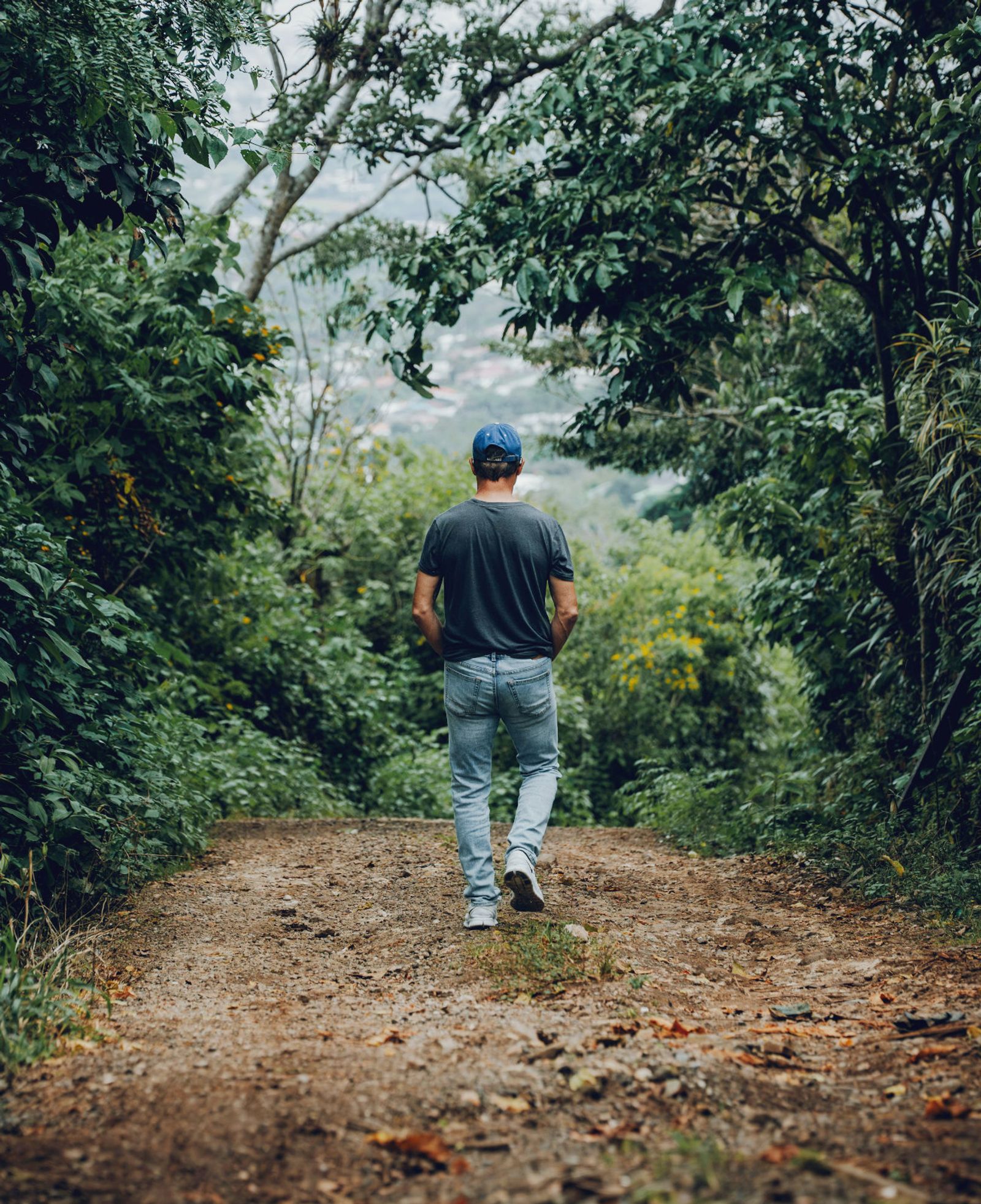 A person walking down a dirt road through the forest, the valley opening in the distance.