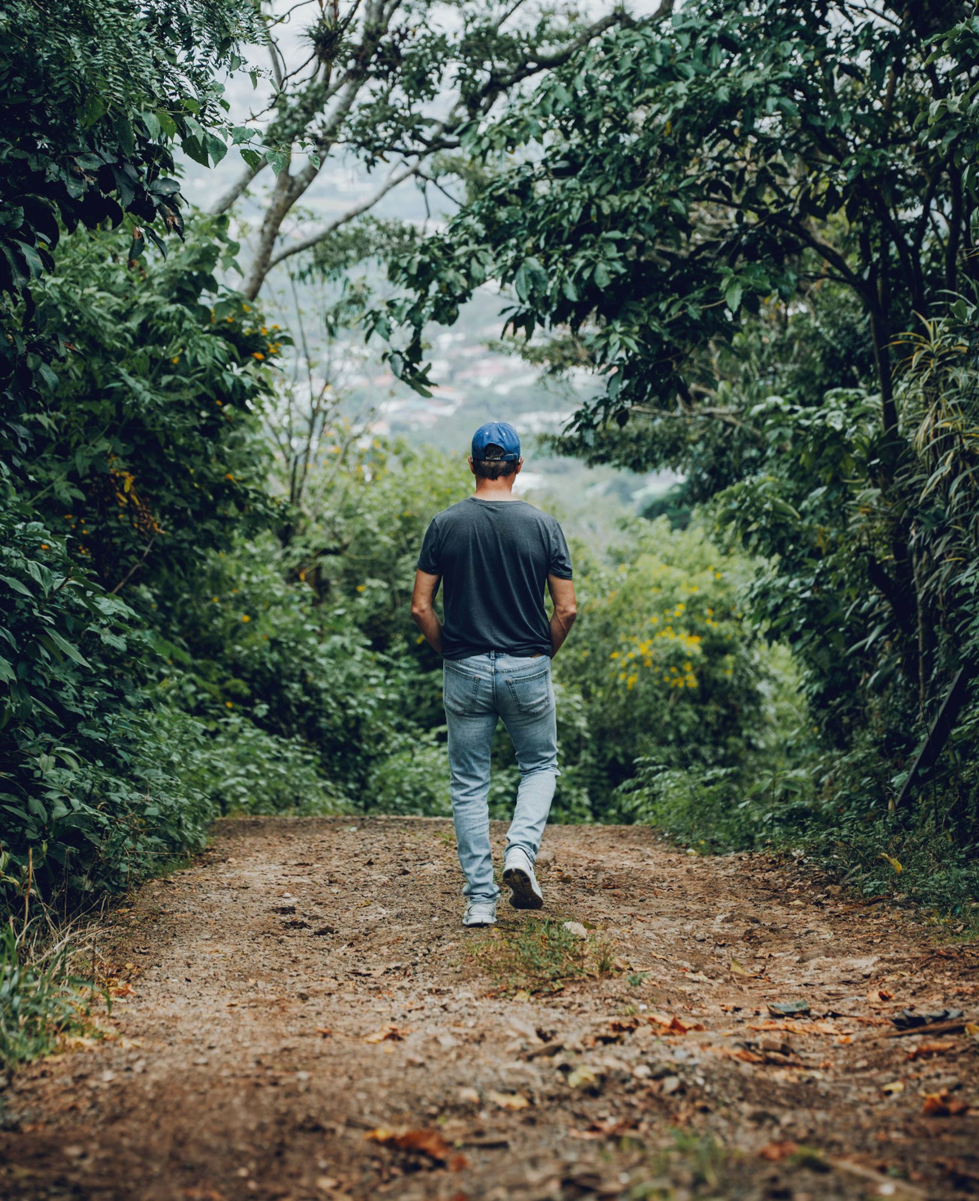 A person walking down a dirt road through the forest, the valley opening in the distance.
