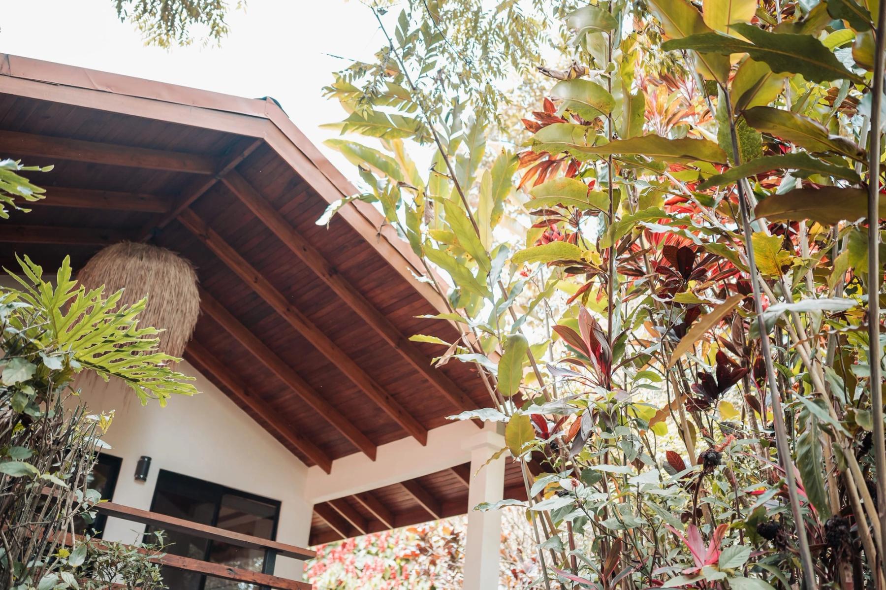 The wooden eaves of a garden pavilion seen through tall tropical leaves.