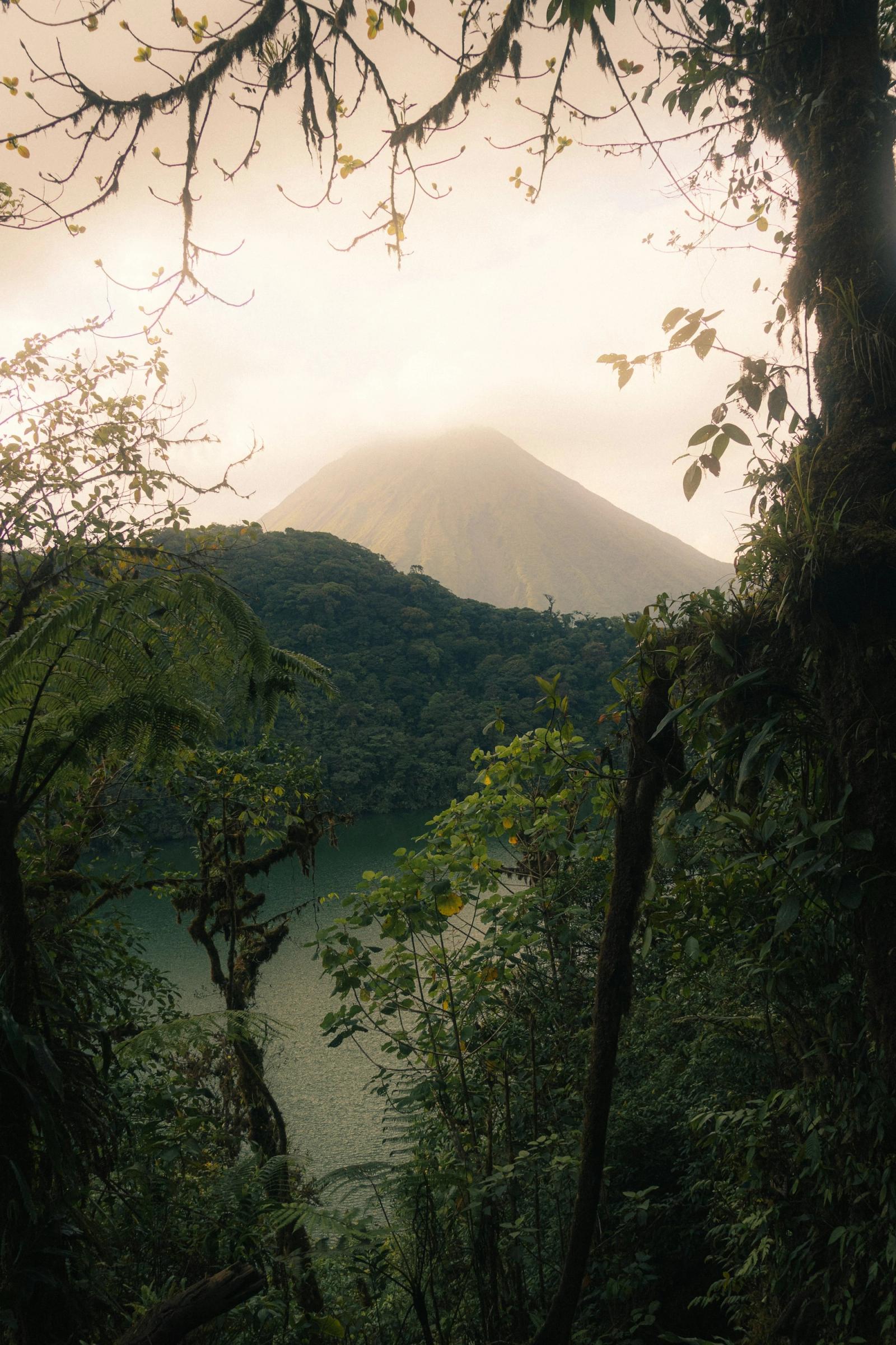 A river winding through a lush green forest.
