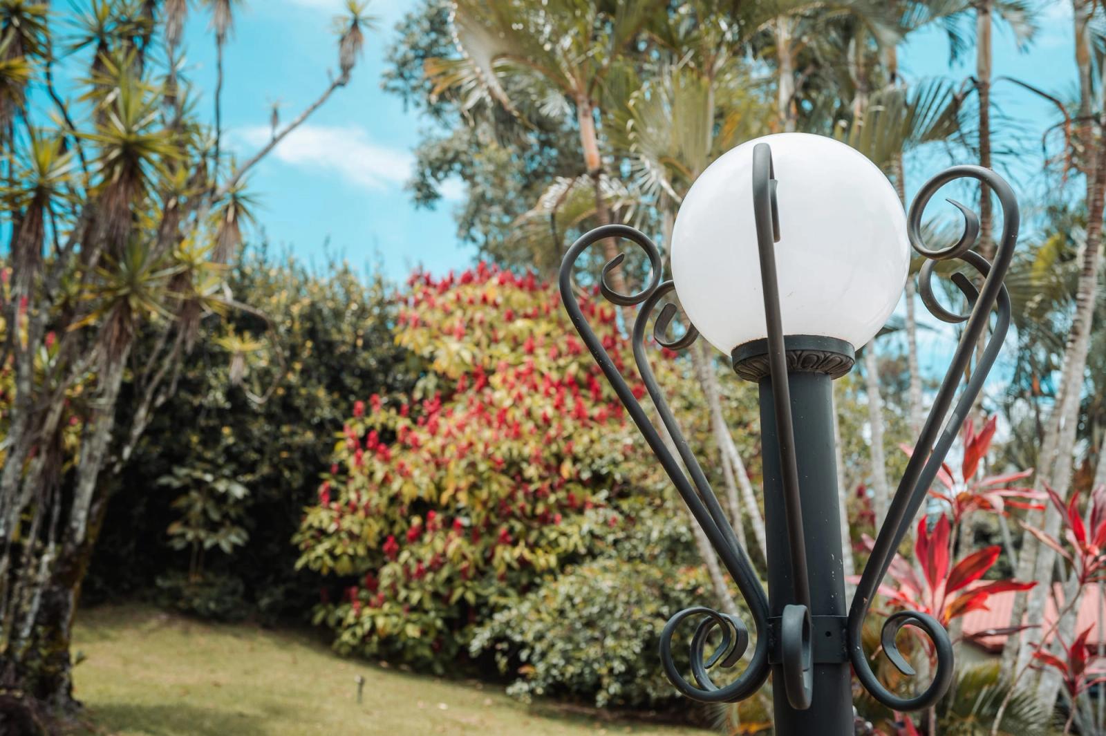 A wrought-iron garden lamp in front of flowering shrubs and palms under a blue sky.