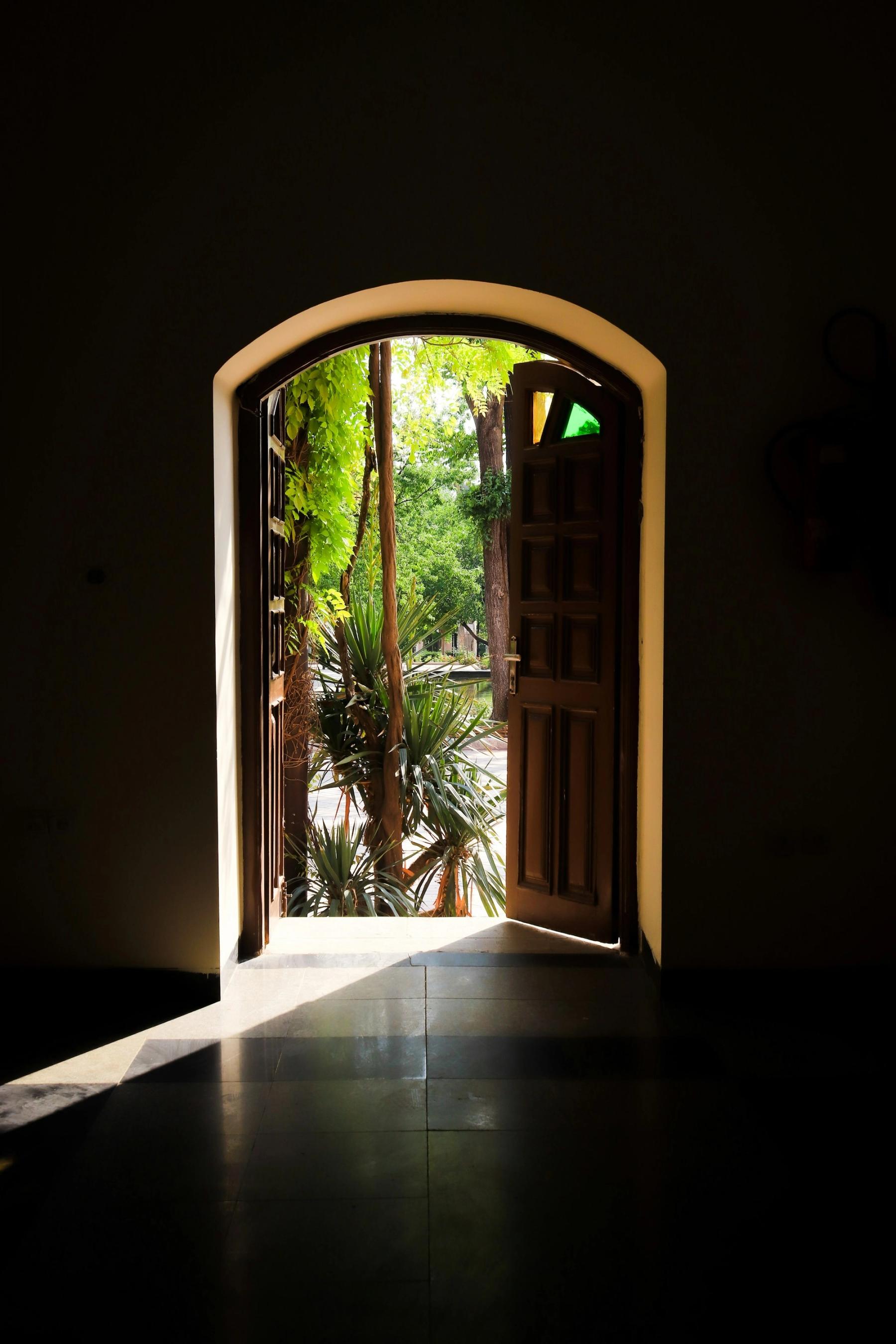 An open door leading from a dim room out to a sunlit garden.