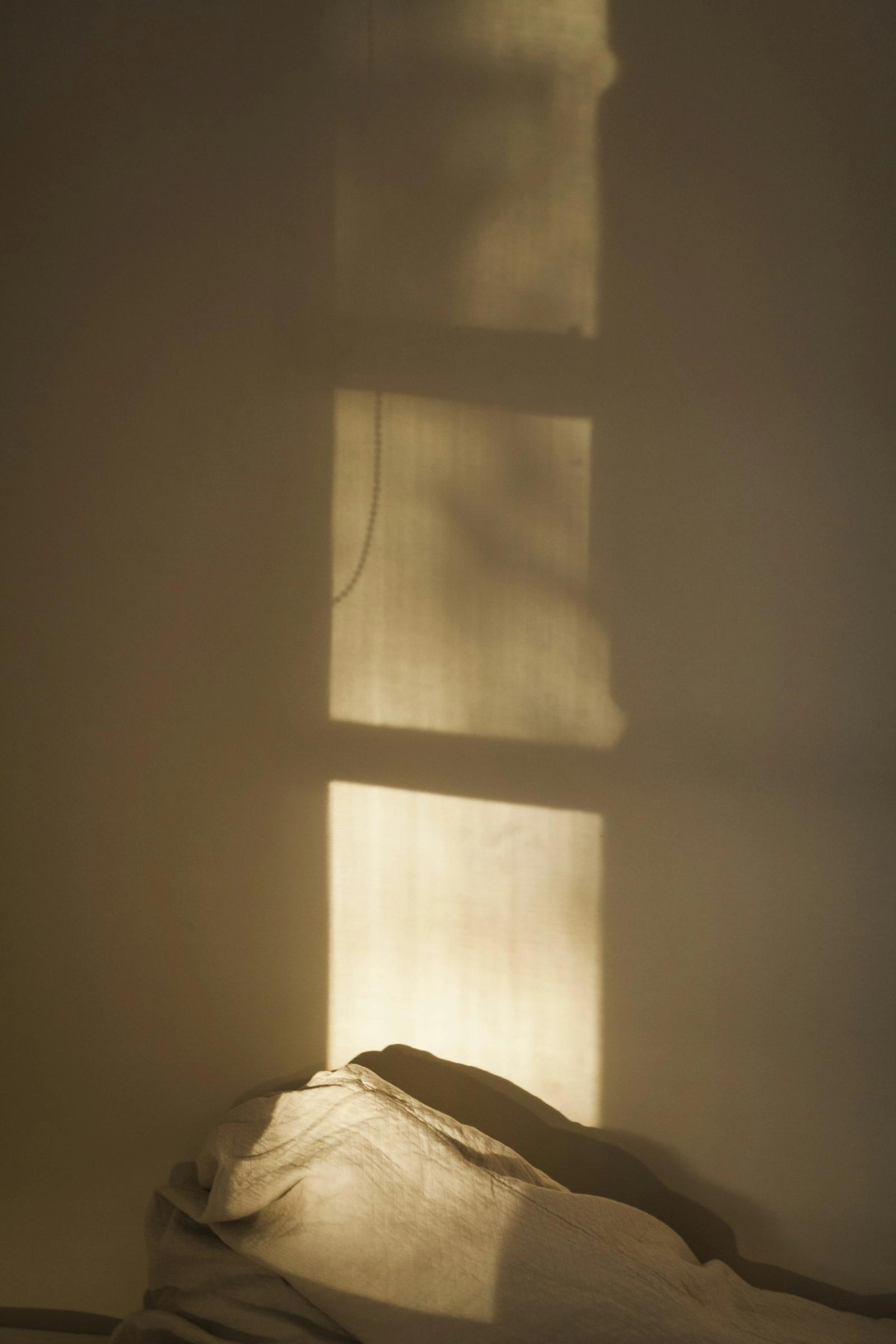 Warm window light falling across a quiet wall.