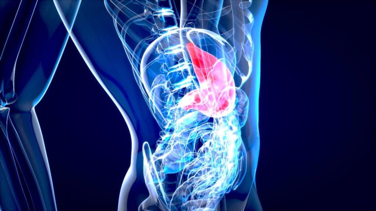how-to-recover-liver-damage-4
