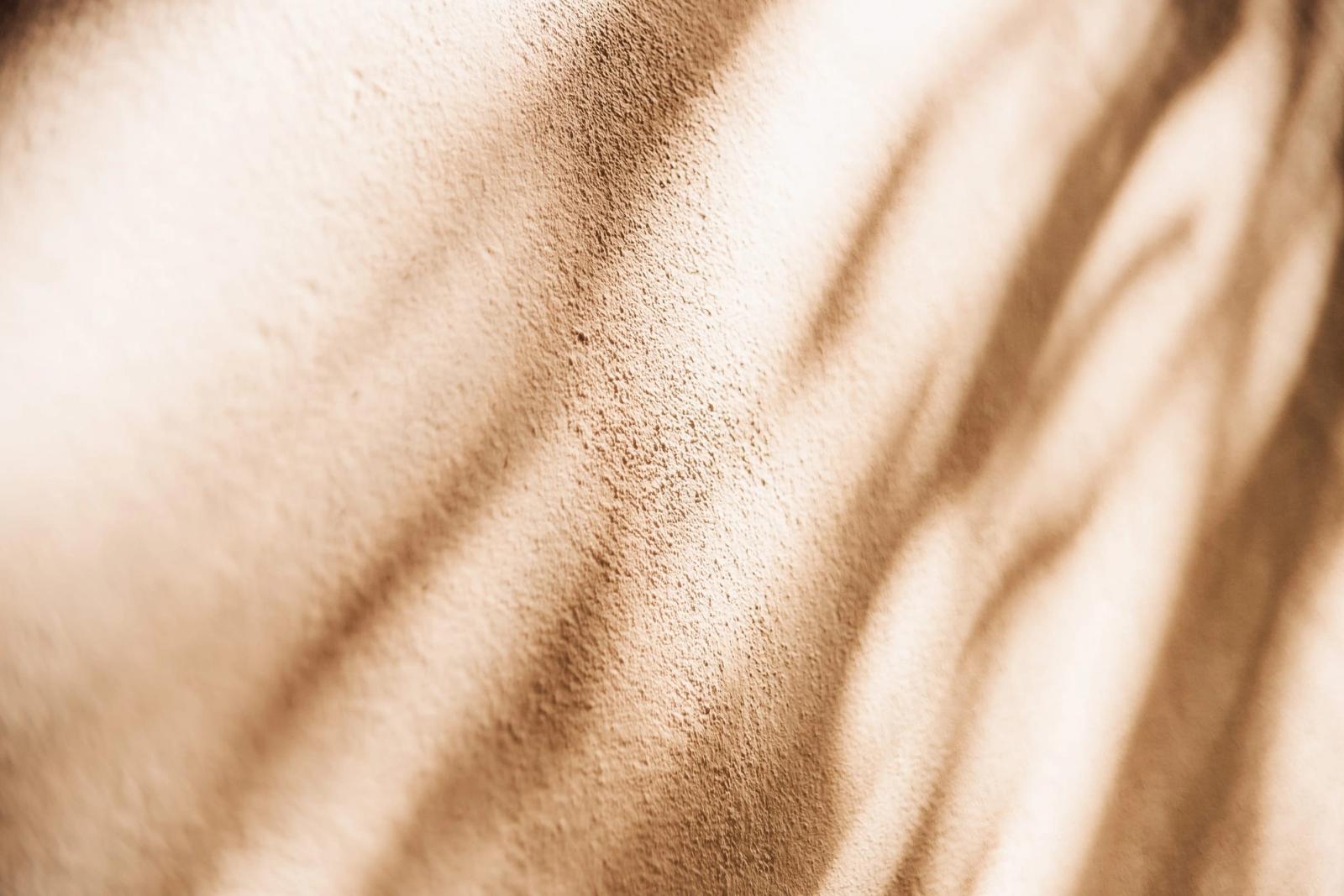 The shadow of leaves falling across a warm plaster wall.