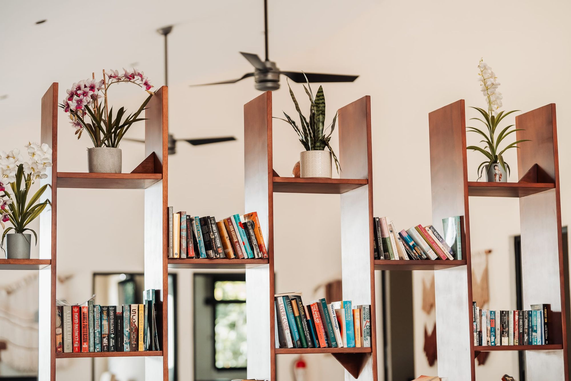 Libreros de madera llenos de novelas y orquídeas bajo un ventilador de techo.