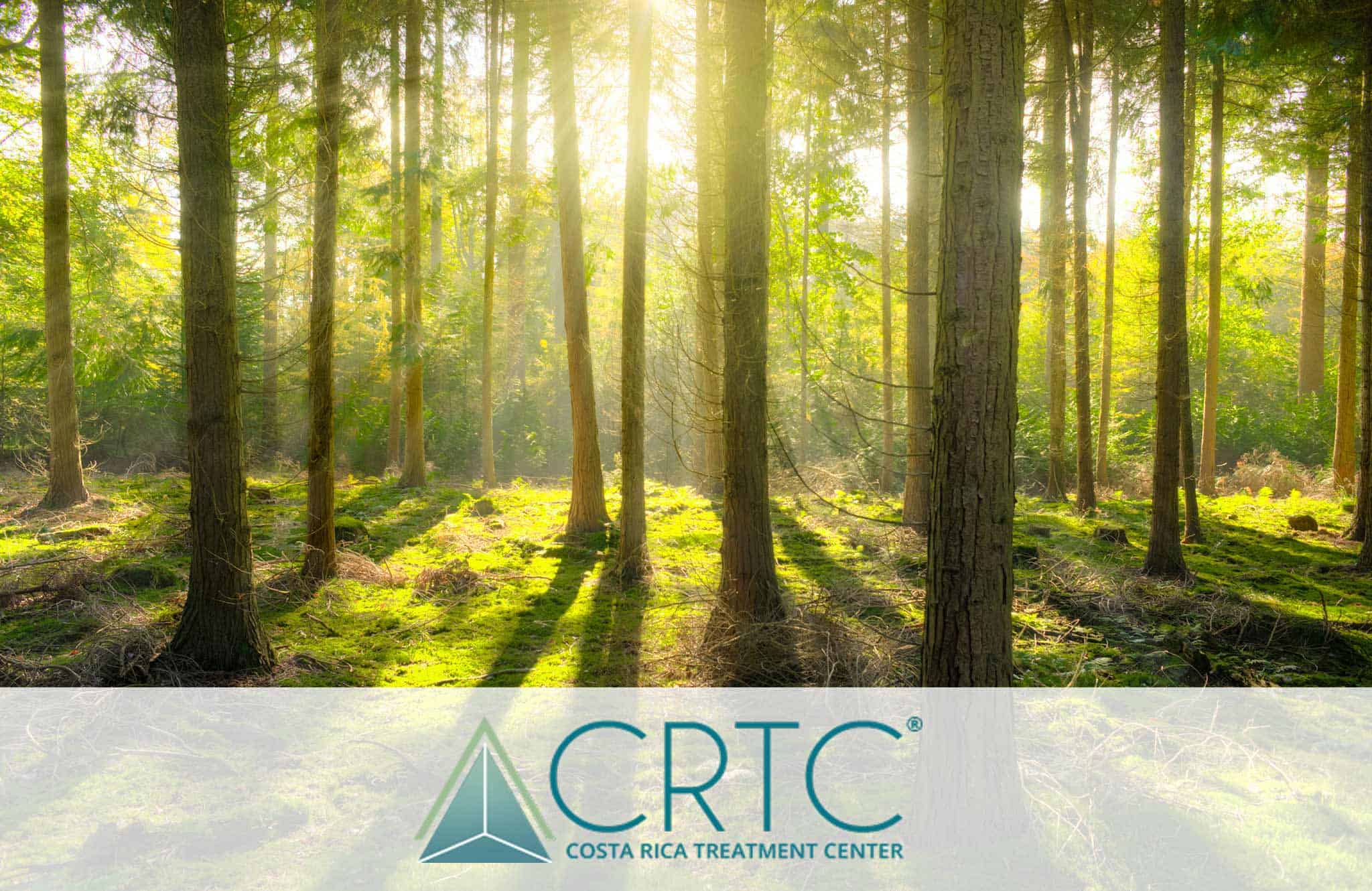 INTERNATIONAL DRUG REHABILITATION SERVICES