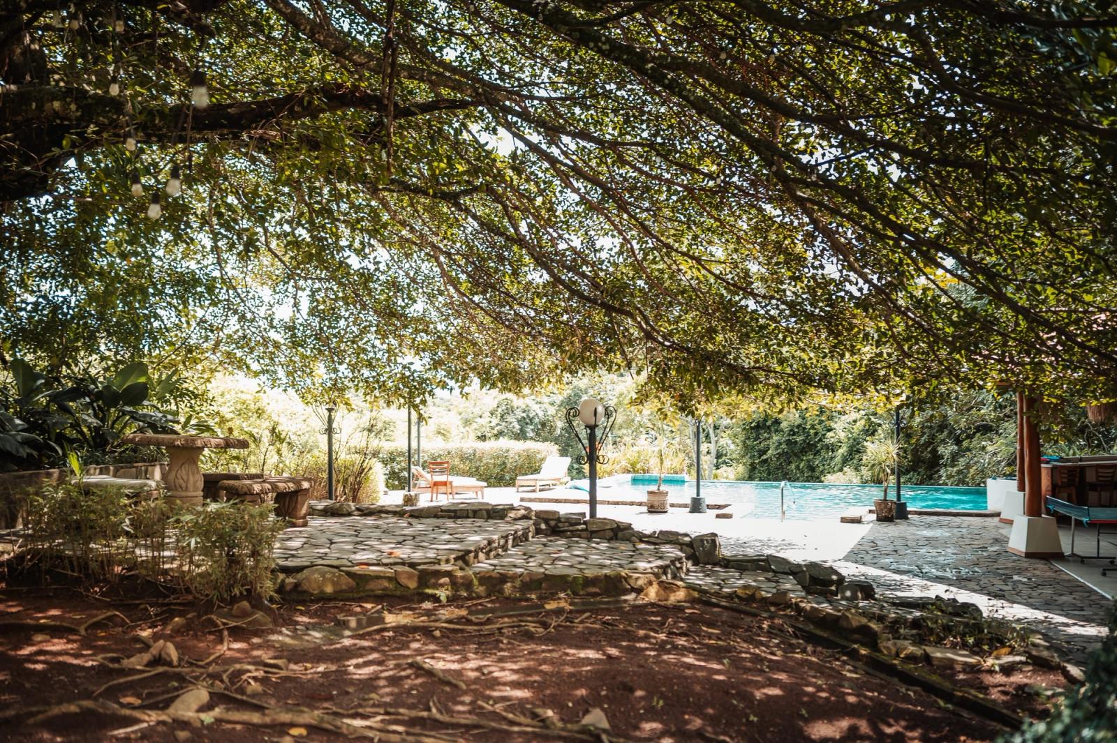 Wide branches shading a stone patio that leads toward the pool.