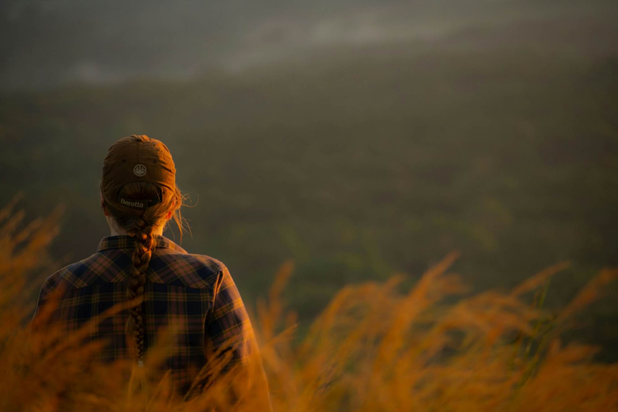 A person seen from behind stands in tall grass, looking out over misty green hills in warm light.