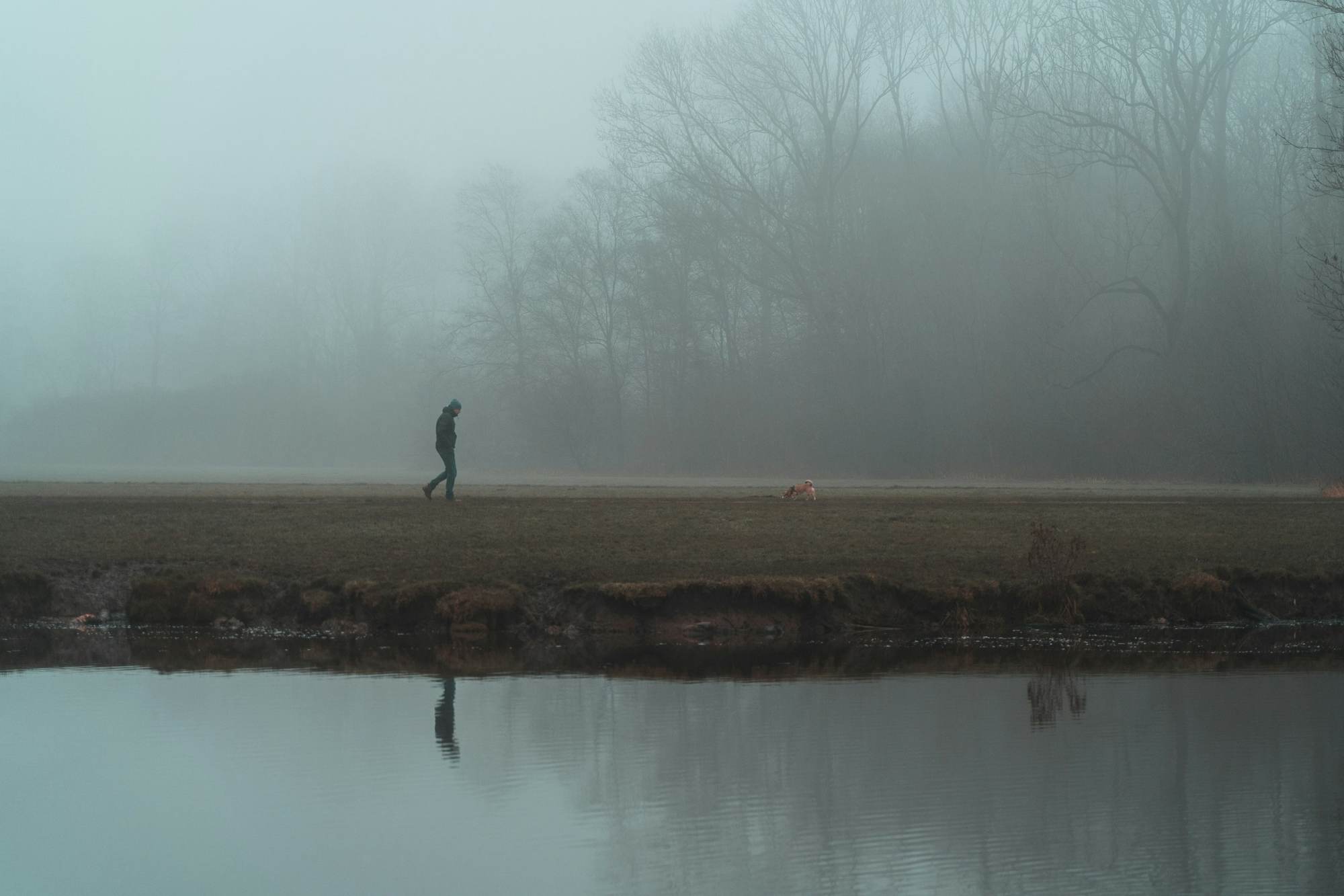 person walking on foggy field next to body of water