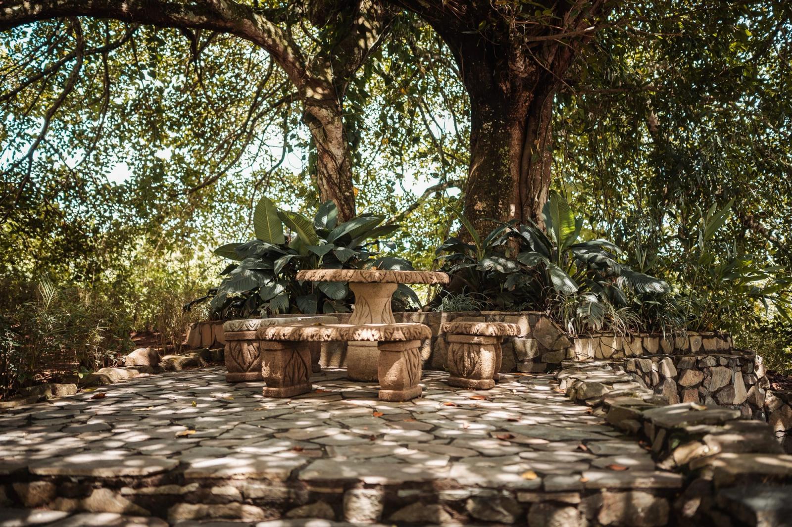 A carved stone table and benches on a flagstone patio under a large tree.