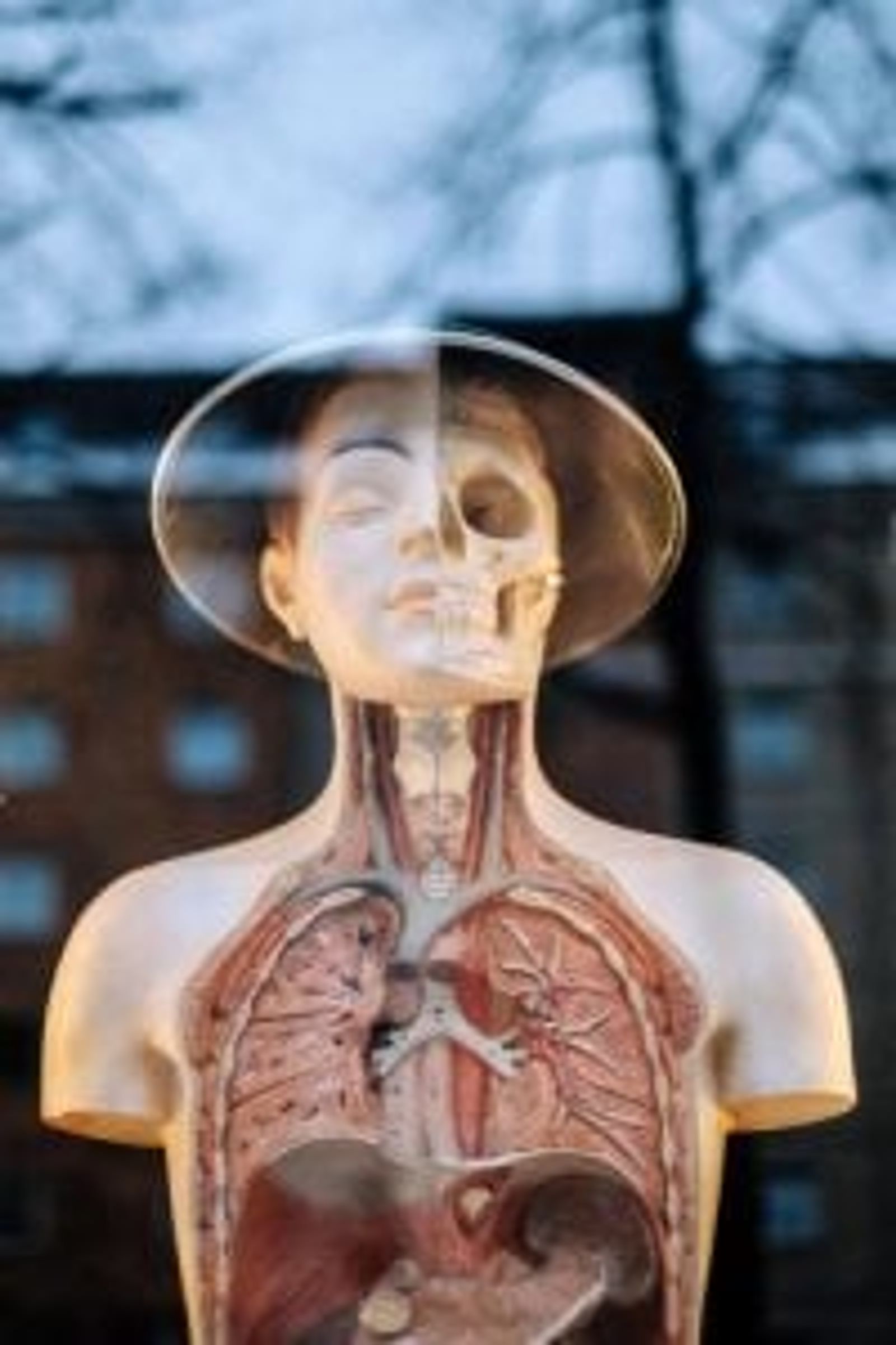 Addiction is a message: what science says