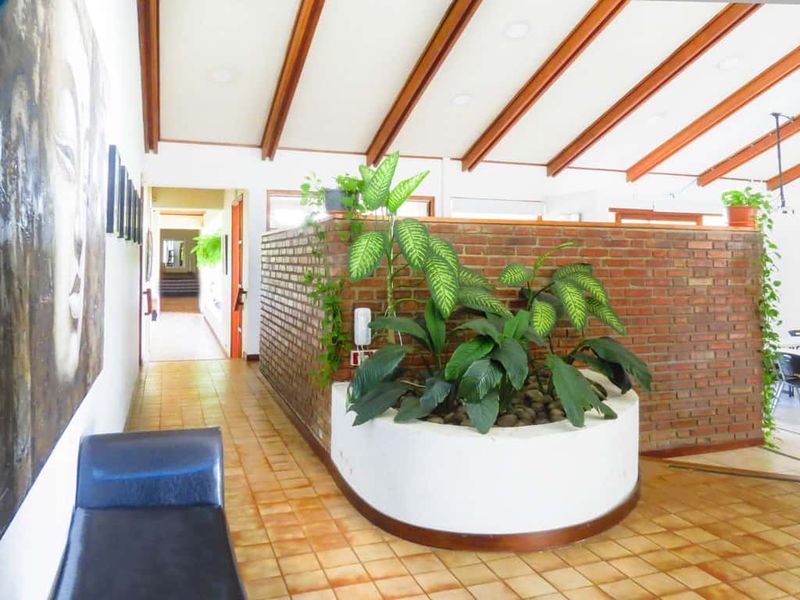 Entry hall at the San José residence with terracotta tile, a brick partition wall and a circular planter of tropical foliage.