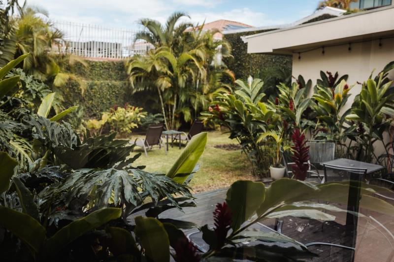 El jardín del patio de San José, lleno de palmeras y plantas de hoja ancha alrededor de un pequeño césped.