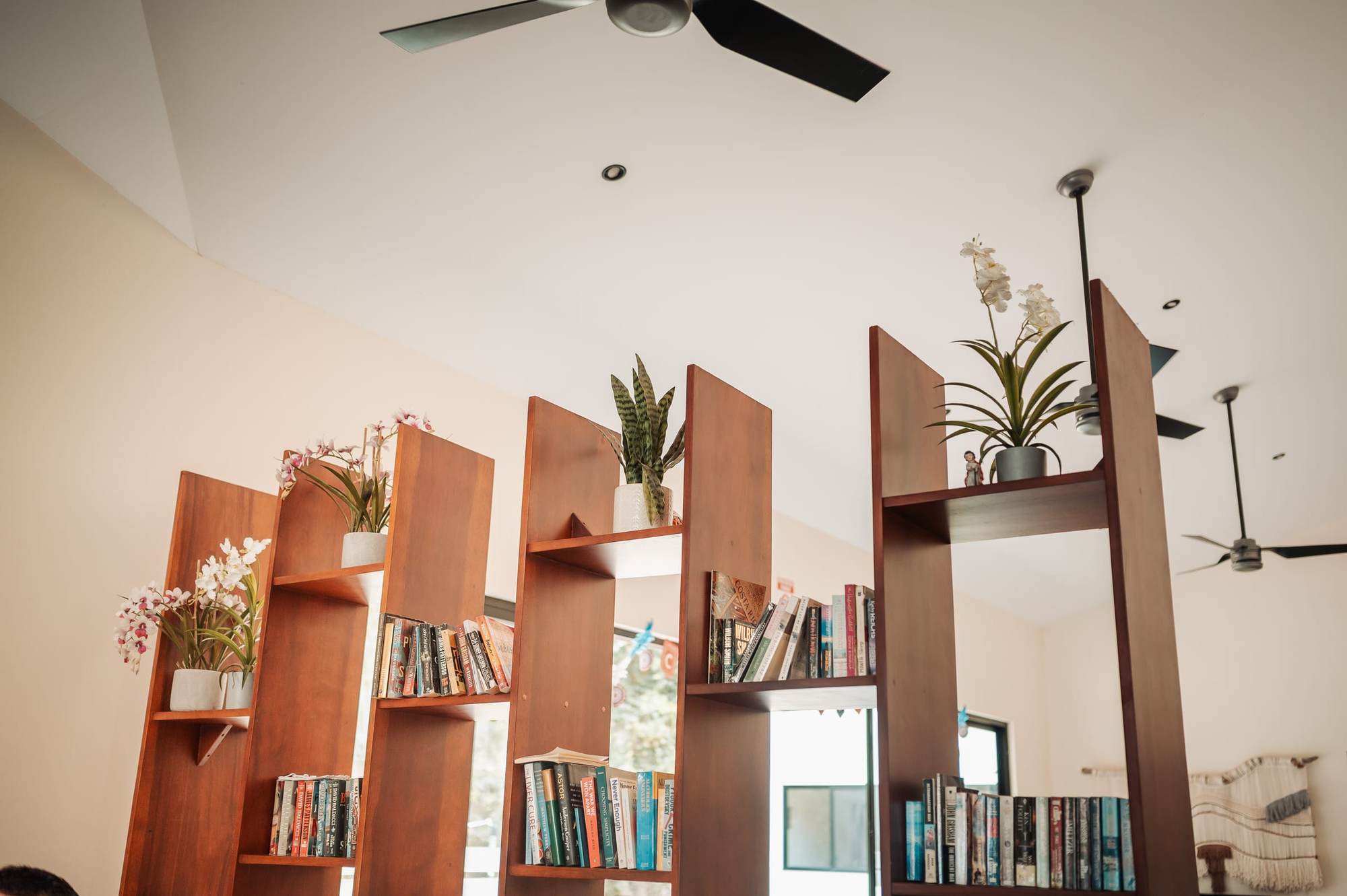 Estantes altos de madera con libros y plantas que dividen una sala luminosa.