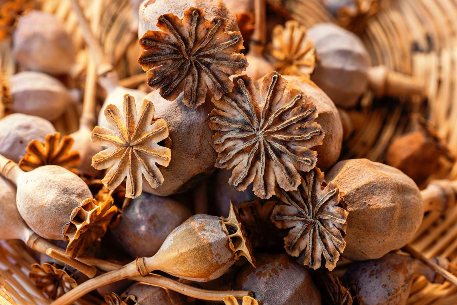 Brown heroin