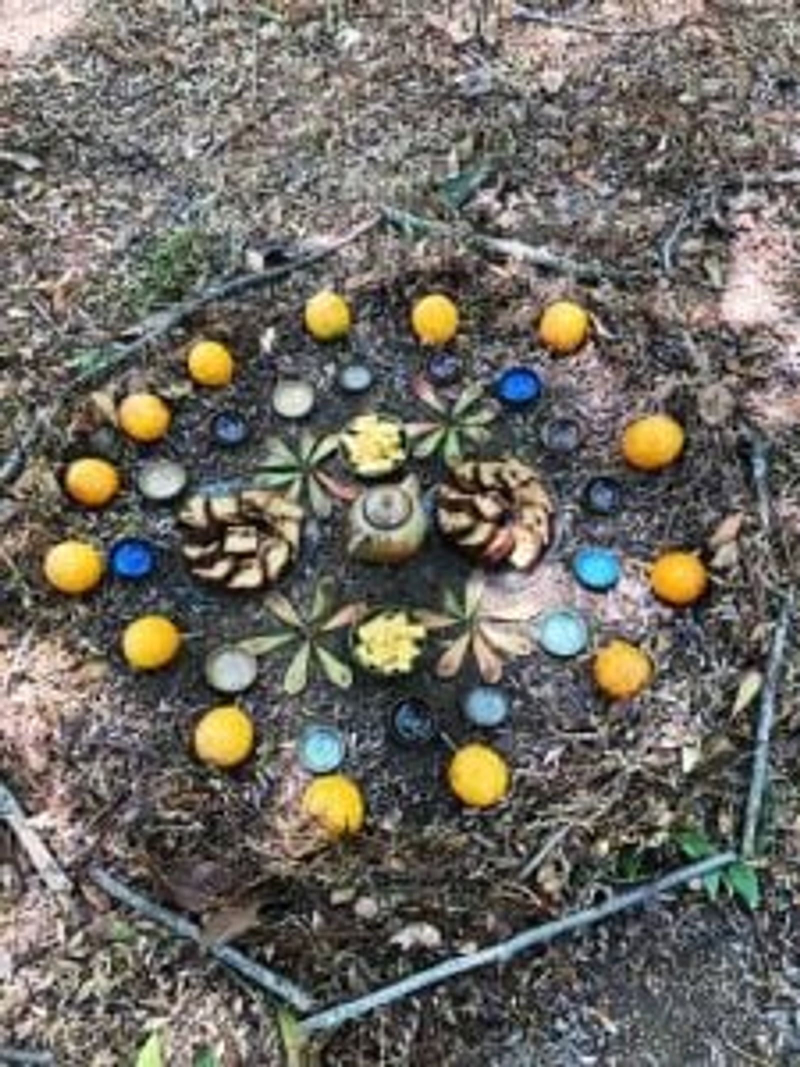 nature therapy