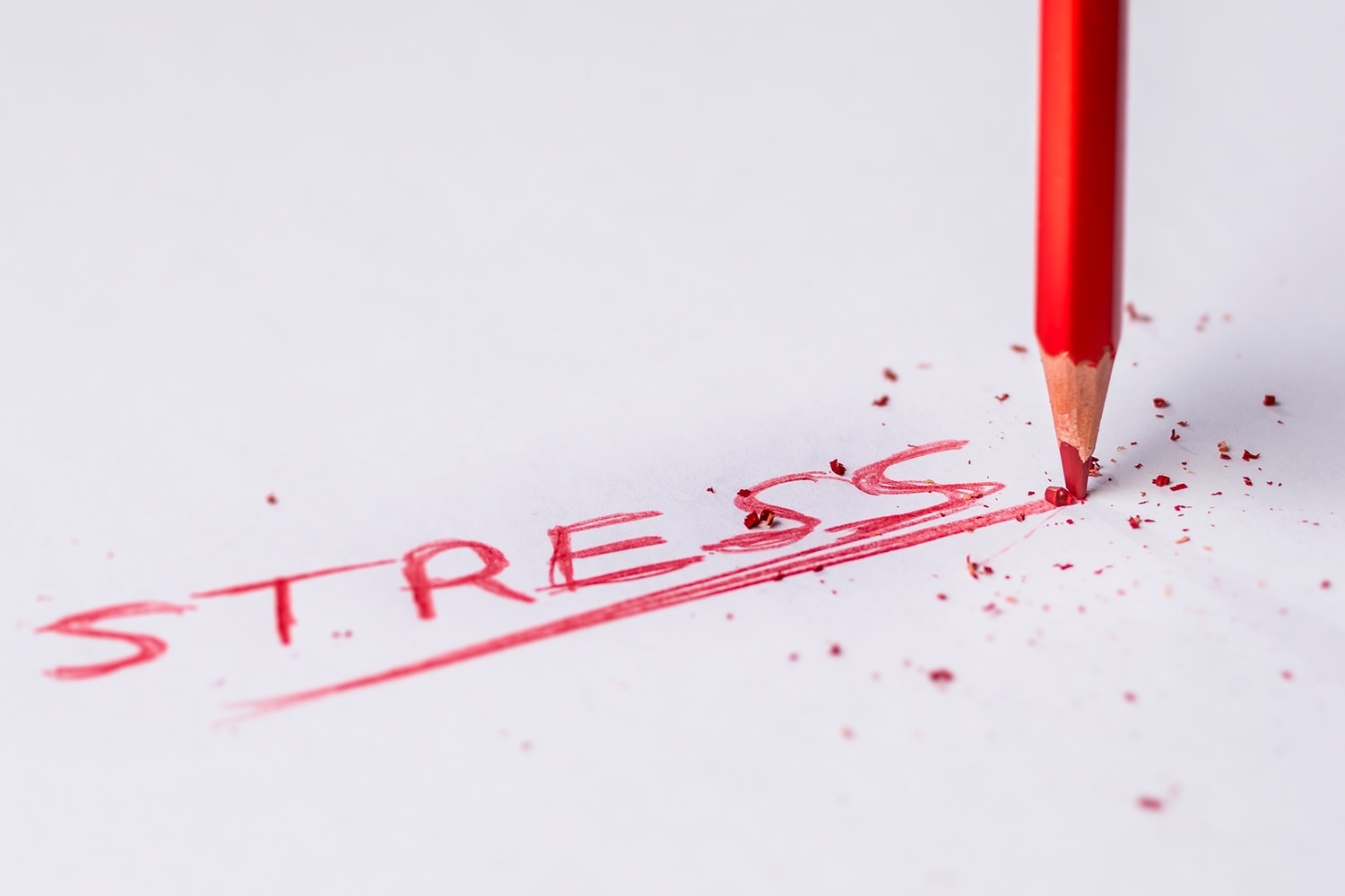 Can Stress Cause Vertigo? What You Need To Know What You Need To Know