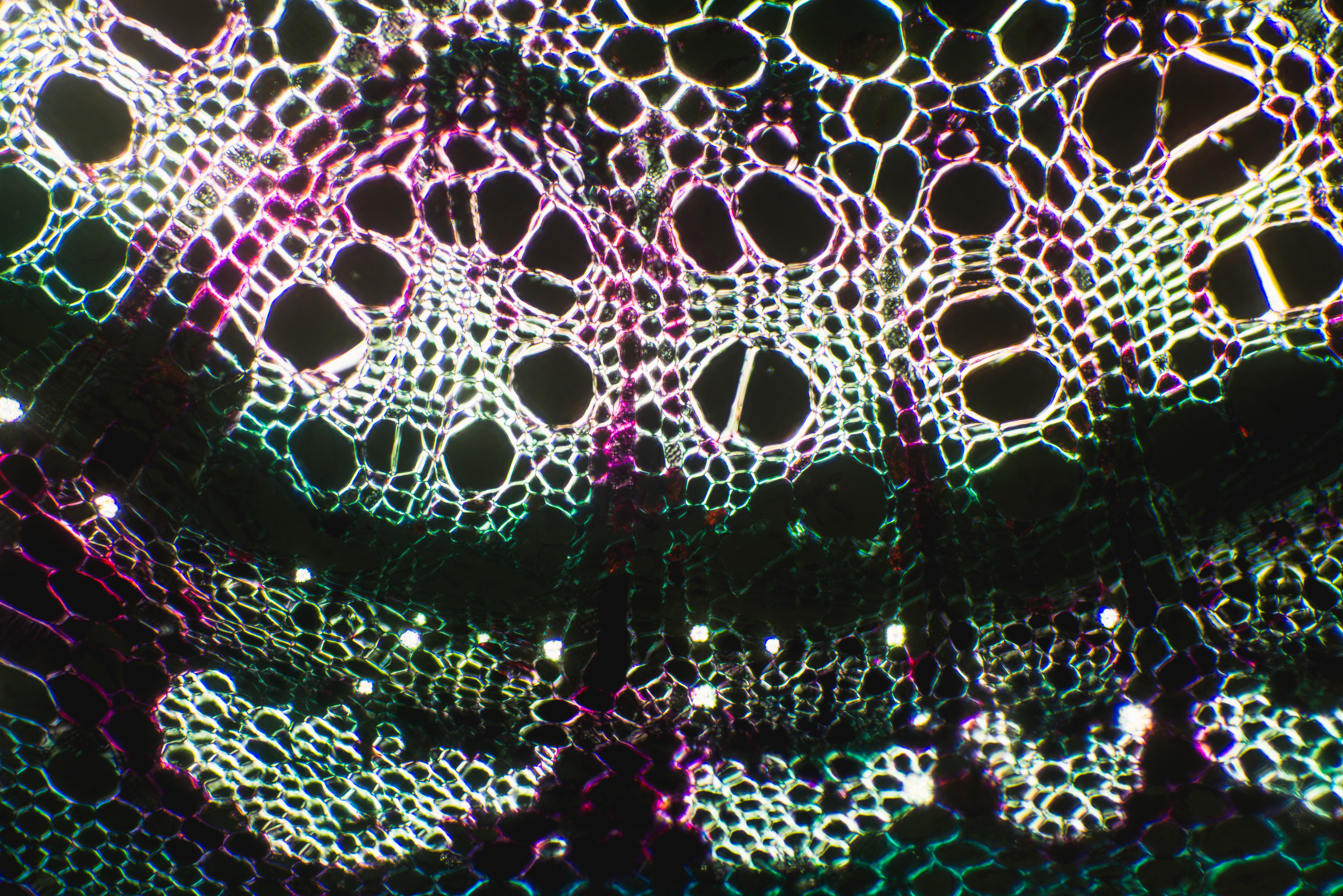 Black white green microscope