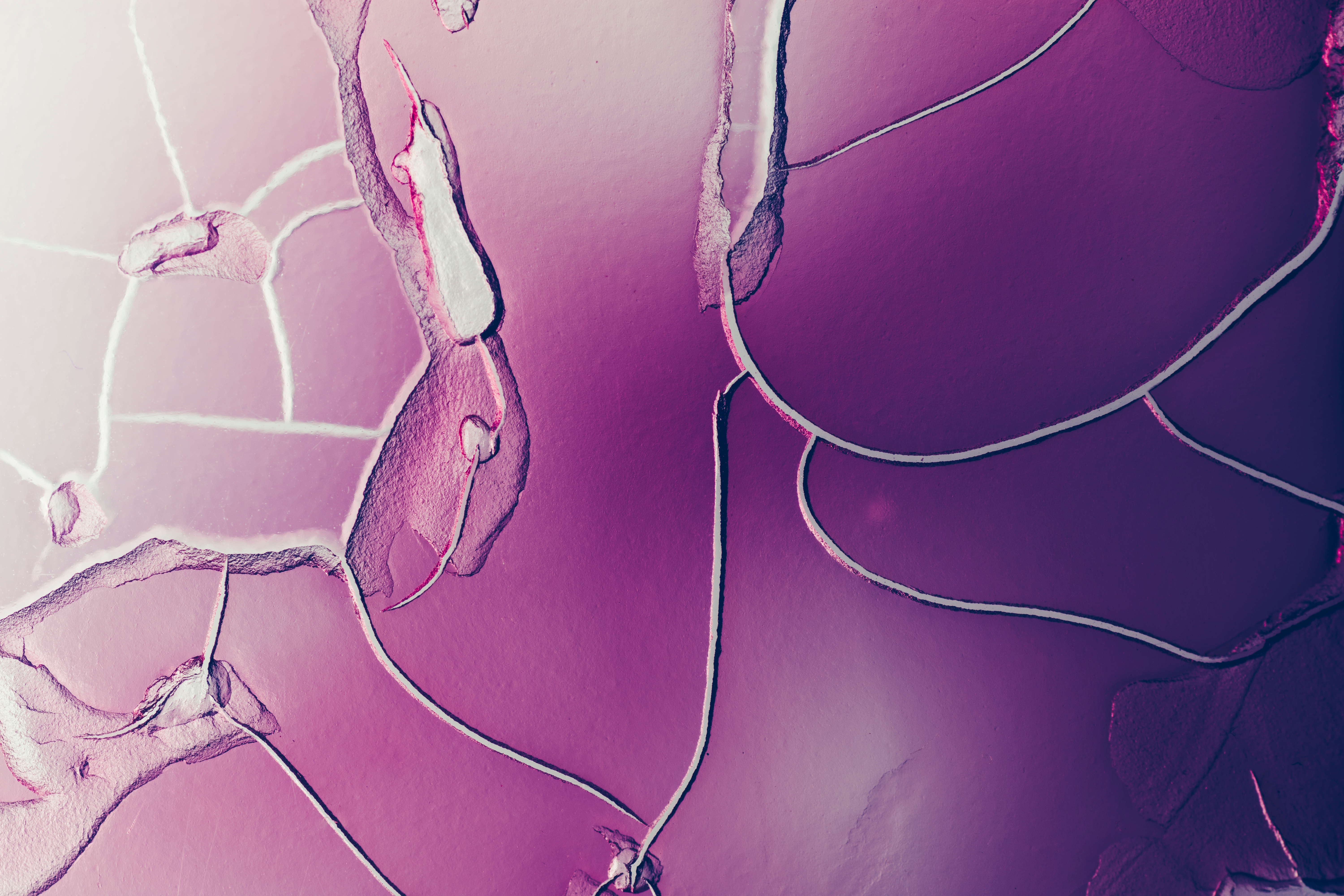 Purple microscope