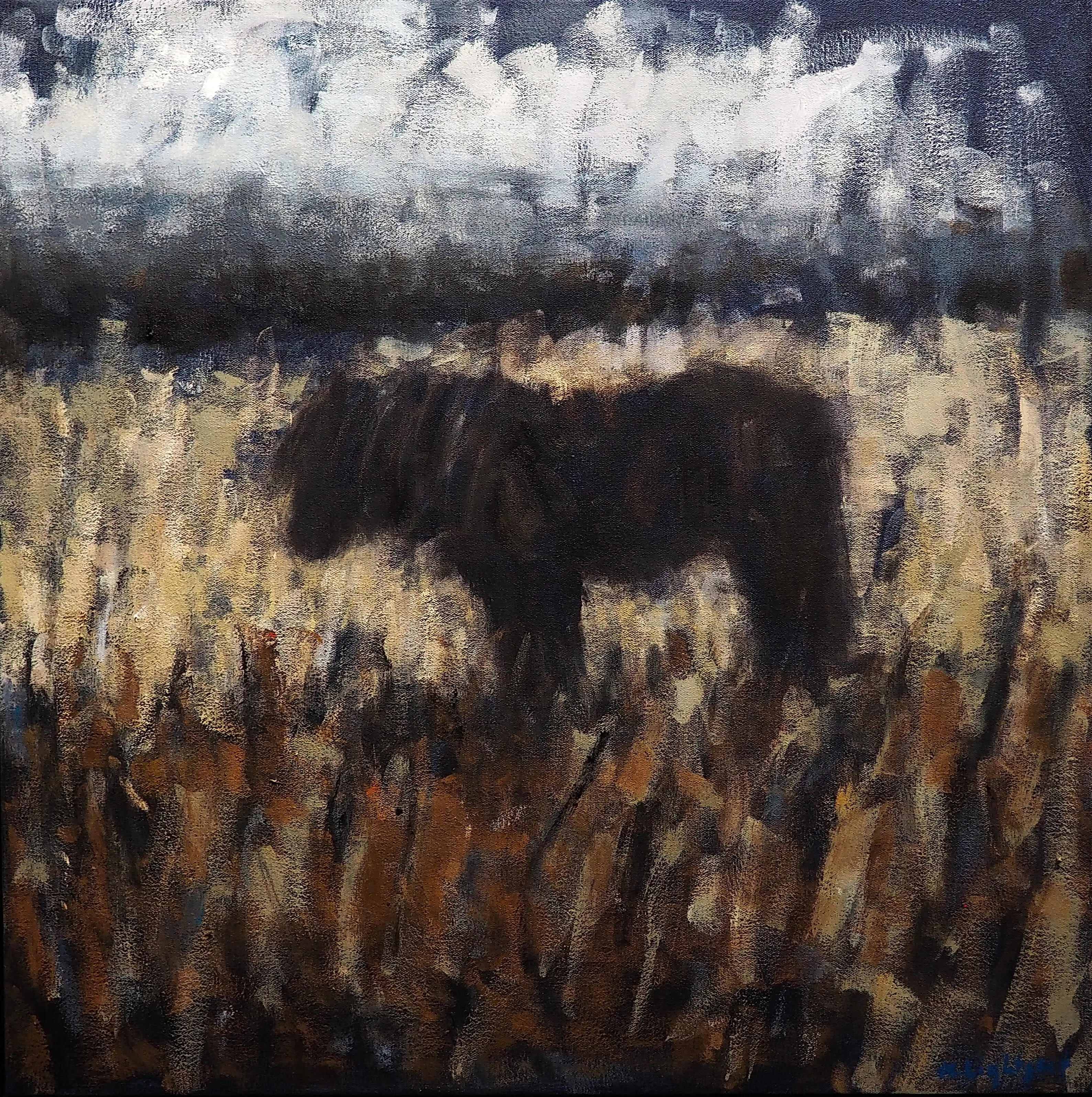 Dartmoor Pony