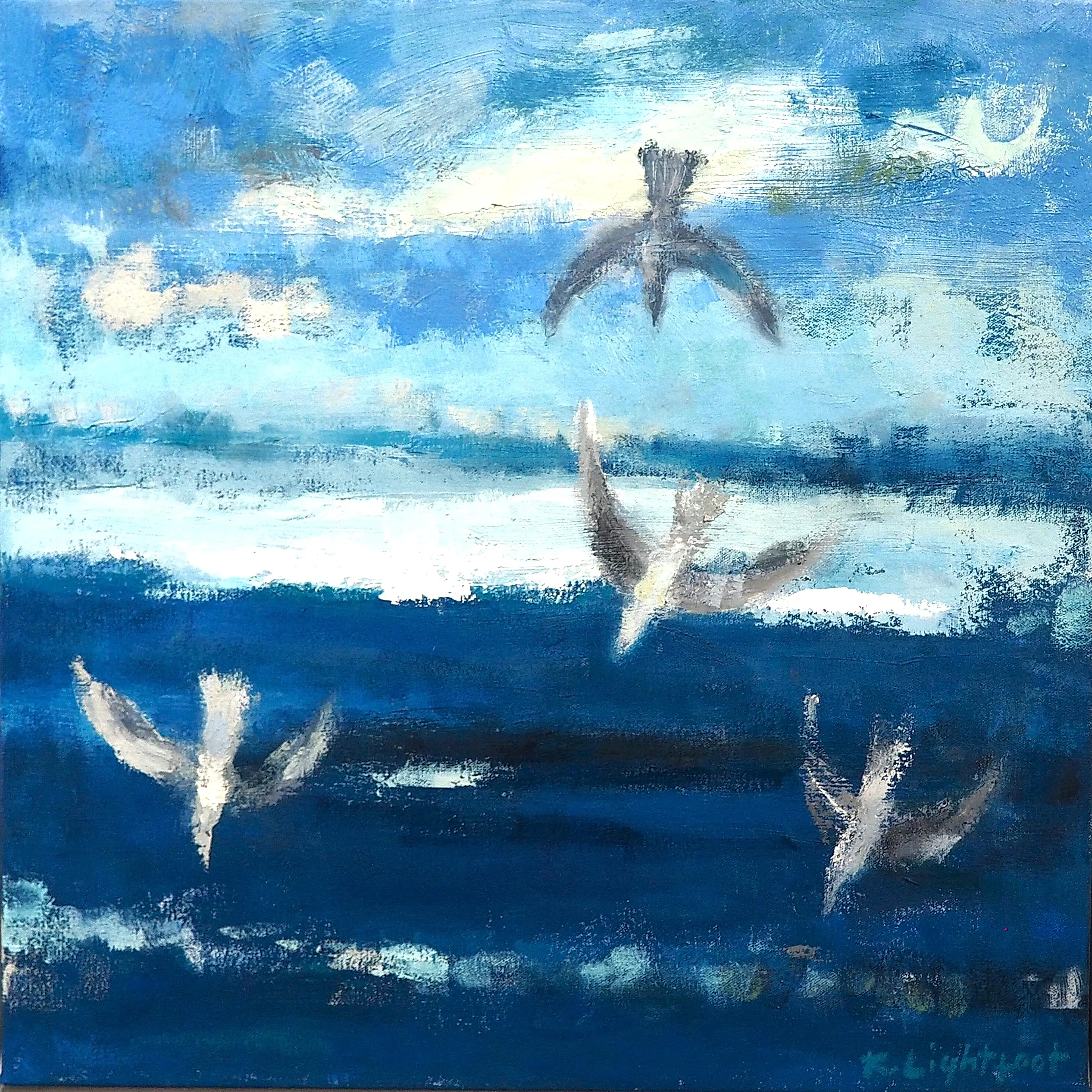 Diving Gulls