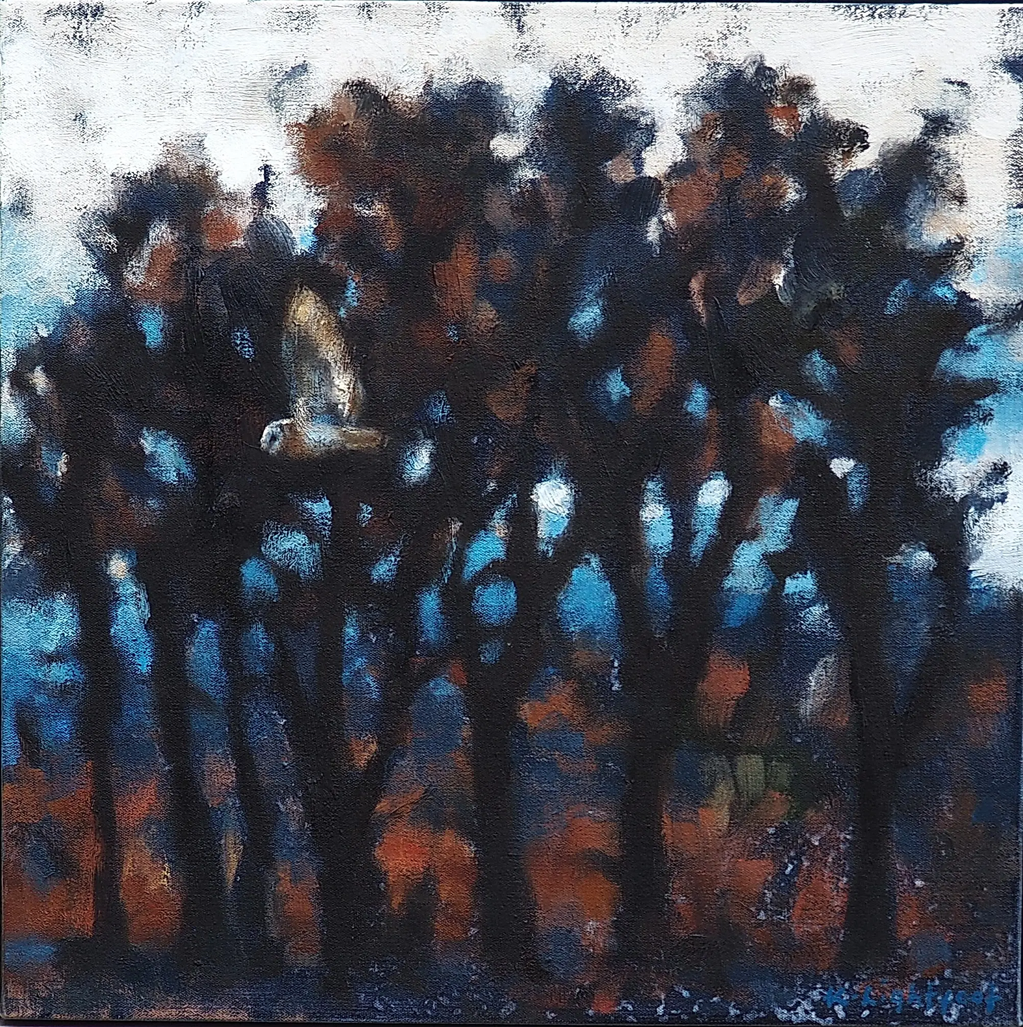 Barn Owl and Trees 
