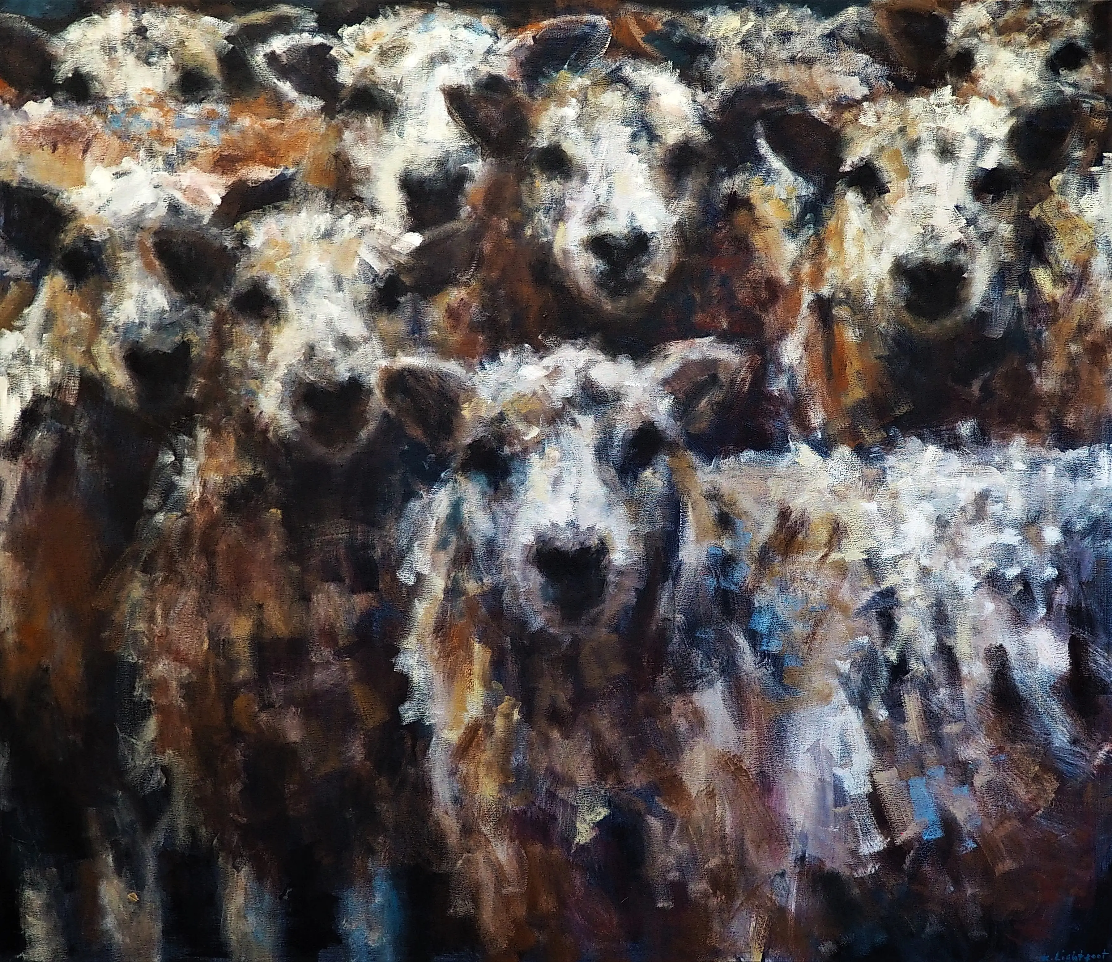 Sheltering Sheep