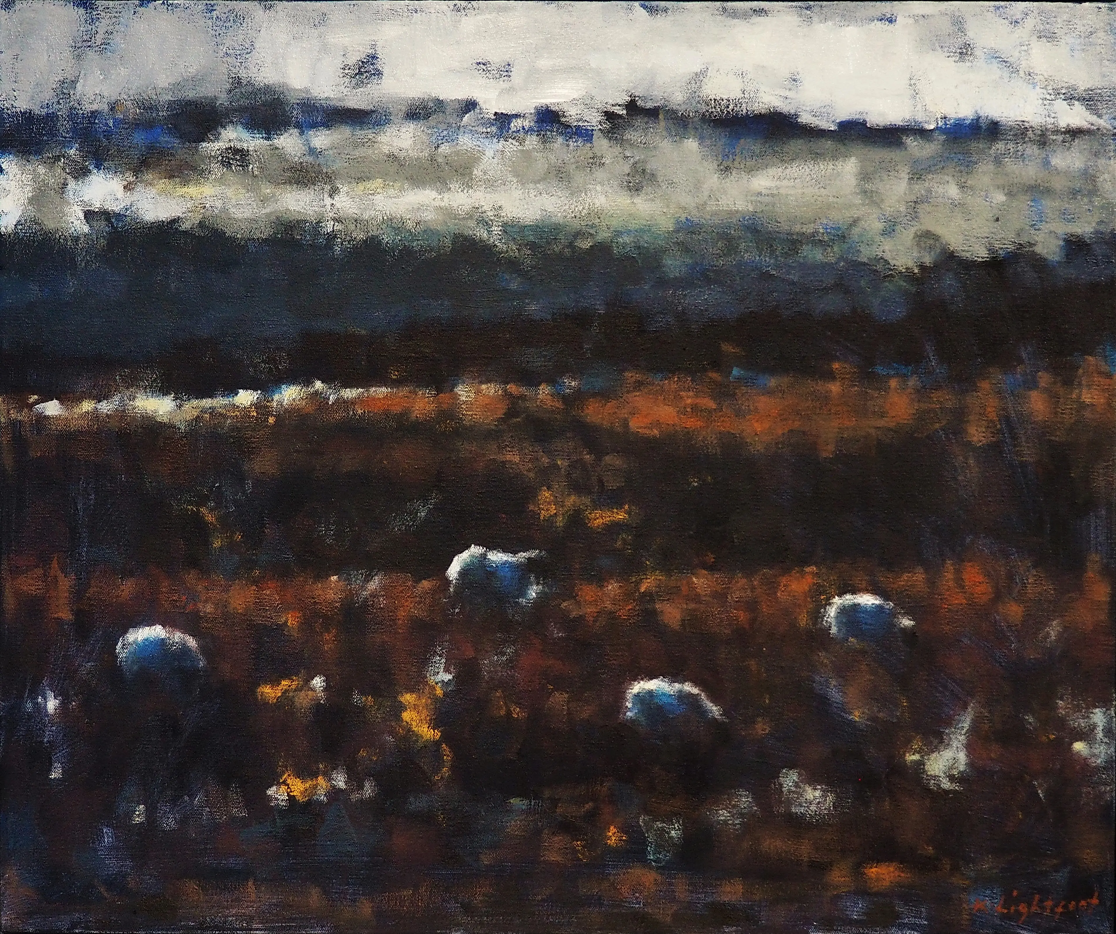 Sheep, Dartmoor Landscape